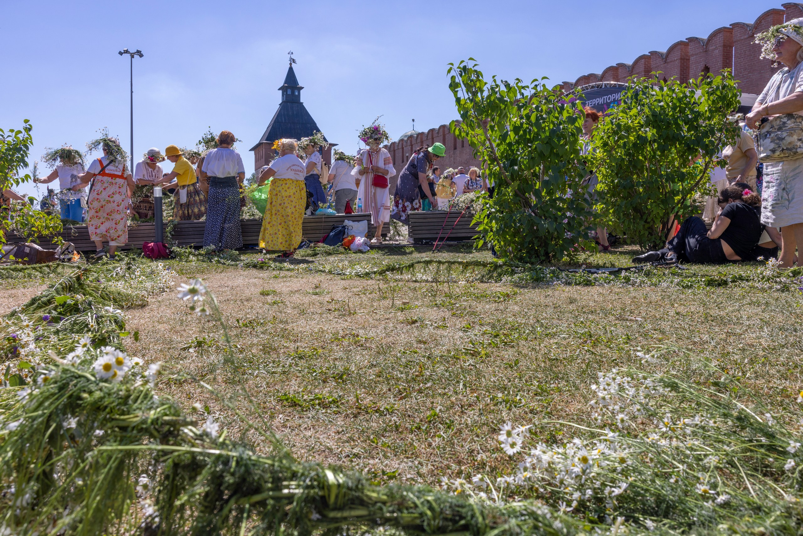 Фестиваль «Ромашковый хоровод». Северная ходьба. Фотограф в Туле Крупский АнДРей. Фотостудия «КАДР71» в Туле