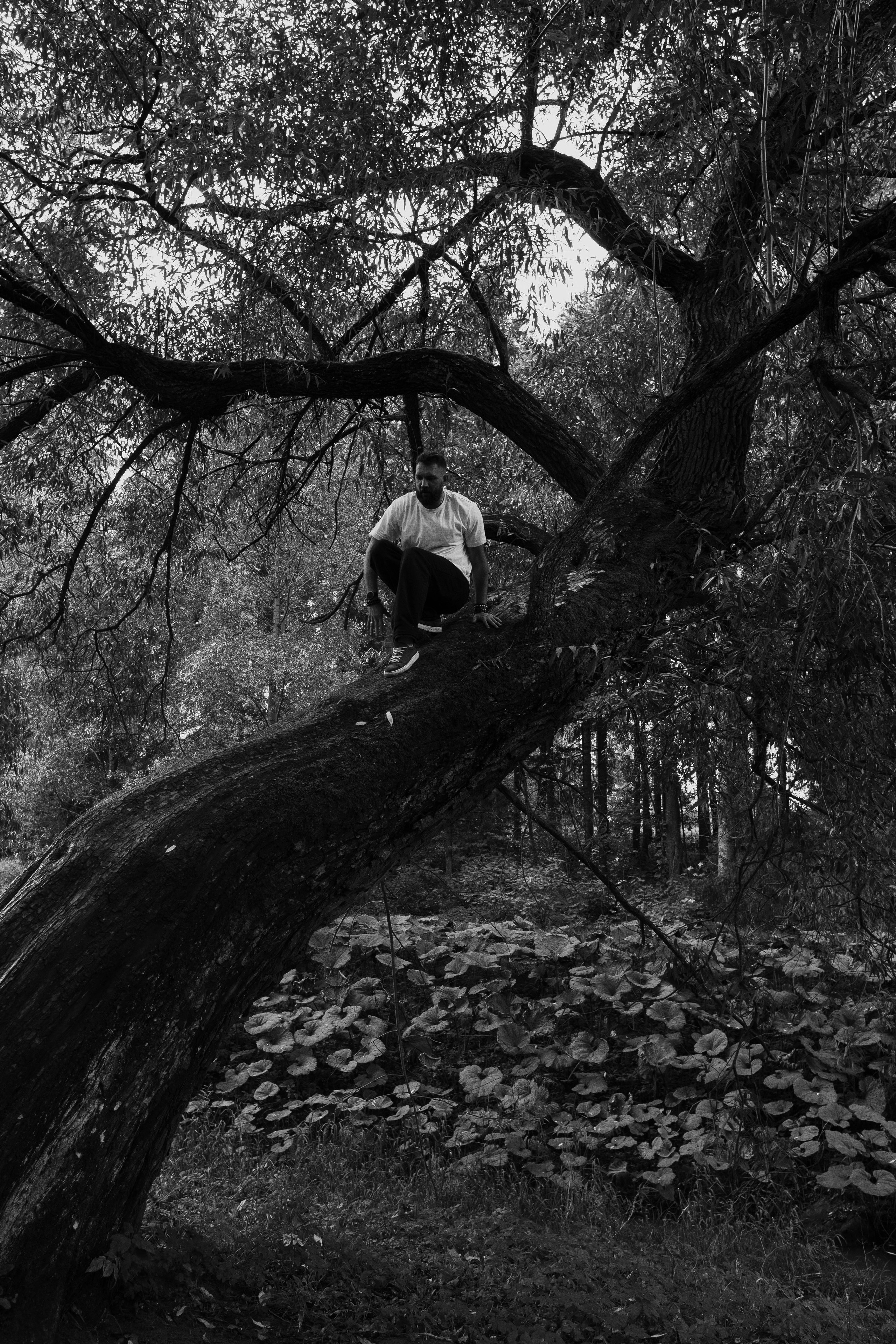 «бабушка приехала!». Фотограф в Санкт-Петербурге Головина Анастасия