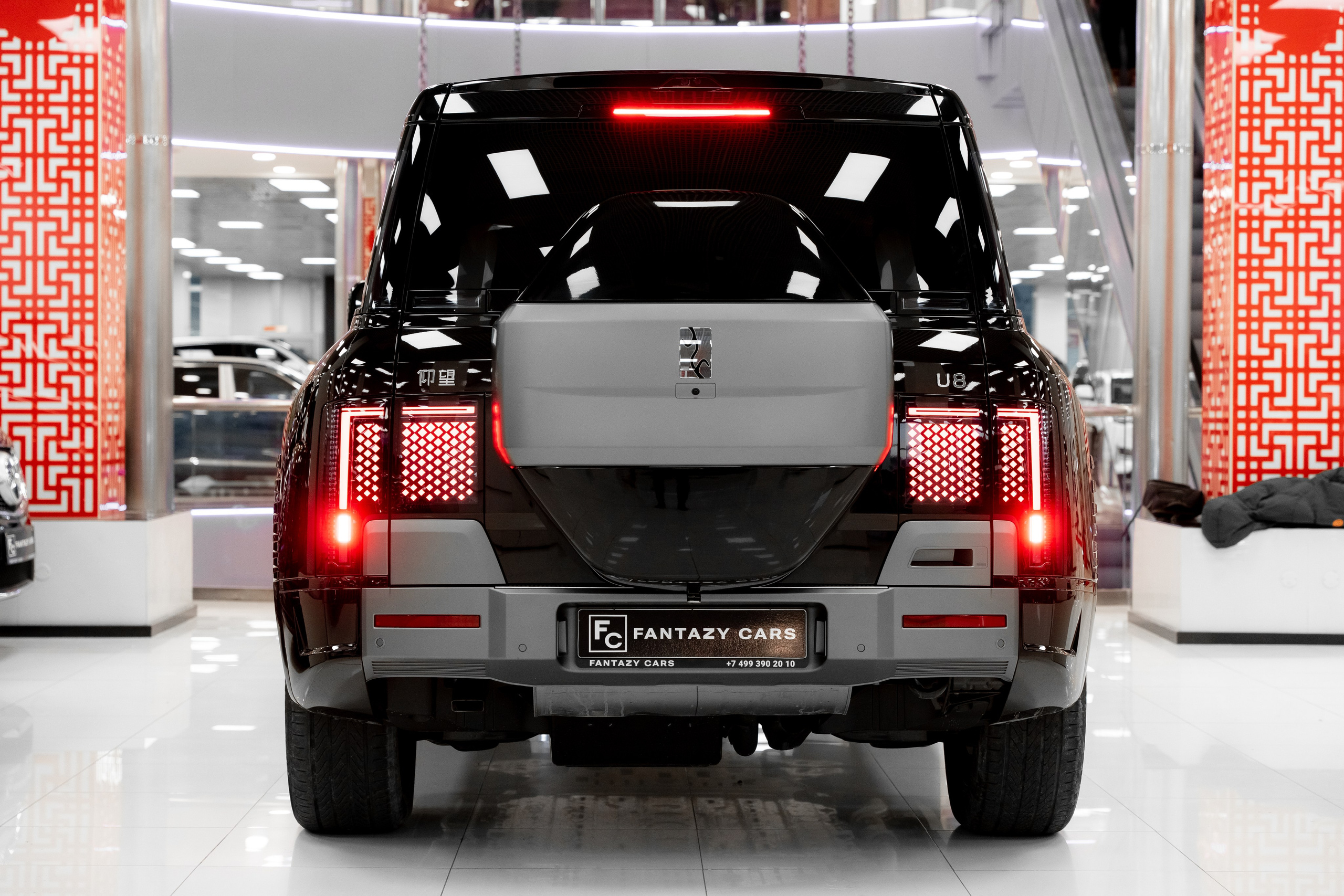 BYD U8. Станислав Тюрин Фотограф Москва. Индивидуальные и семейные фотосессии;