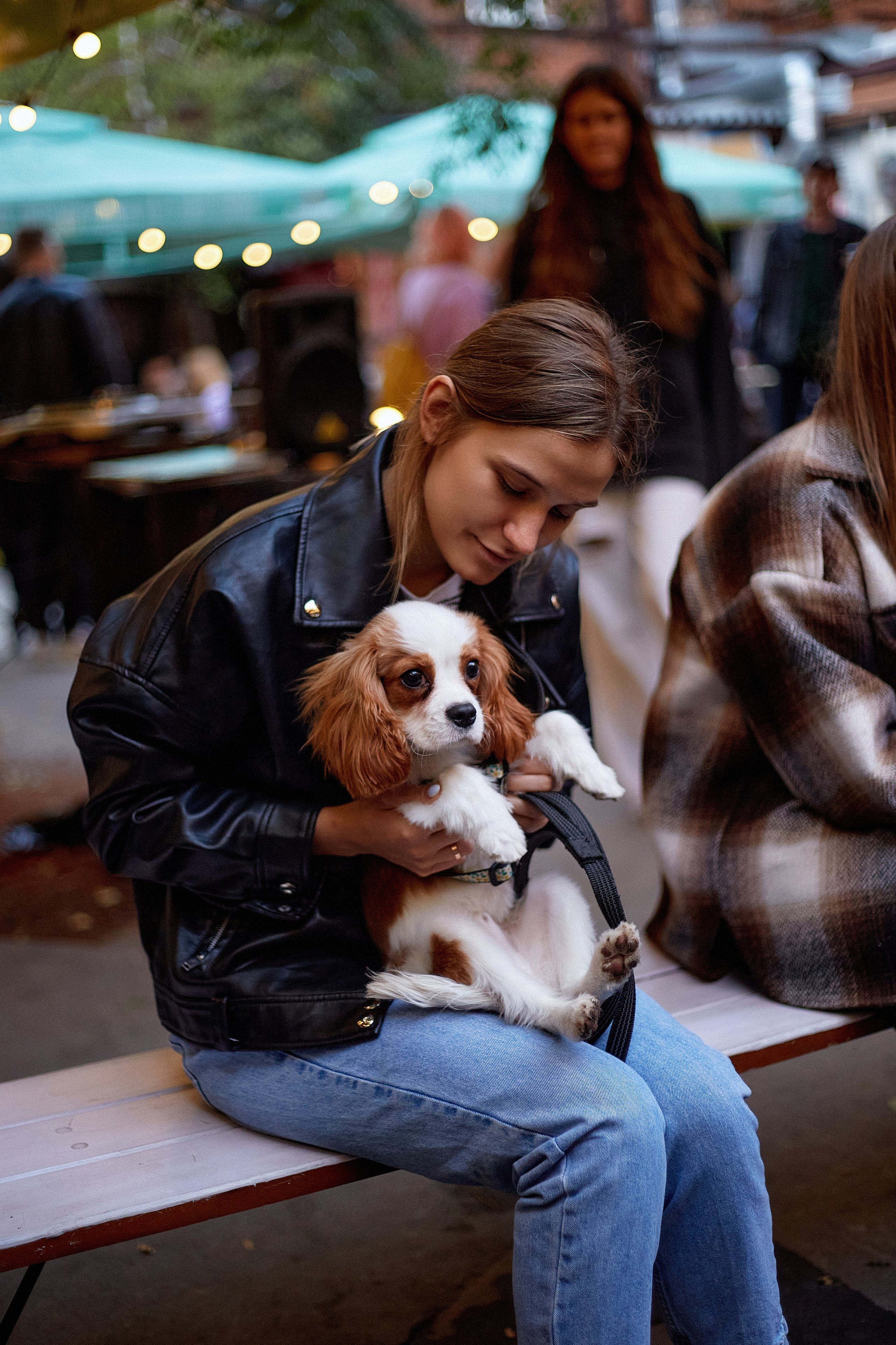 ДОГПАТИ х СОБАКА.RU. DENISOV ART (фото, видео, дизайн) САМАРА