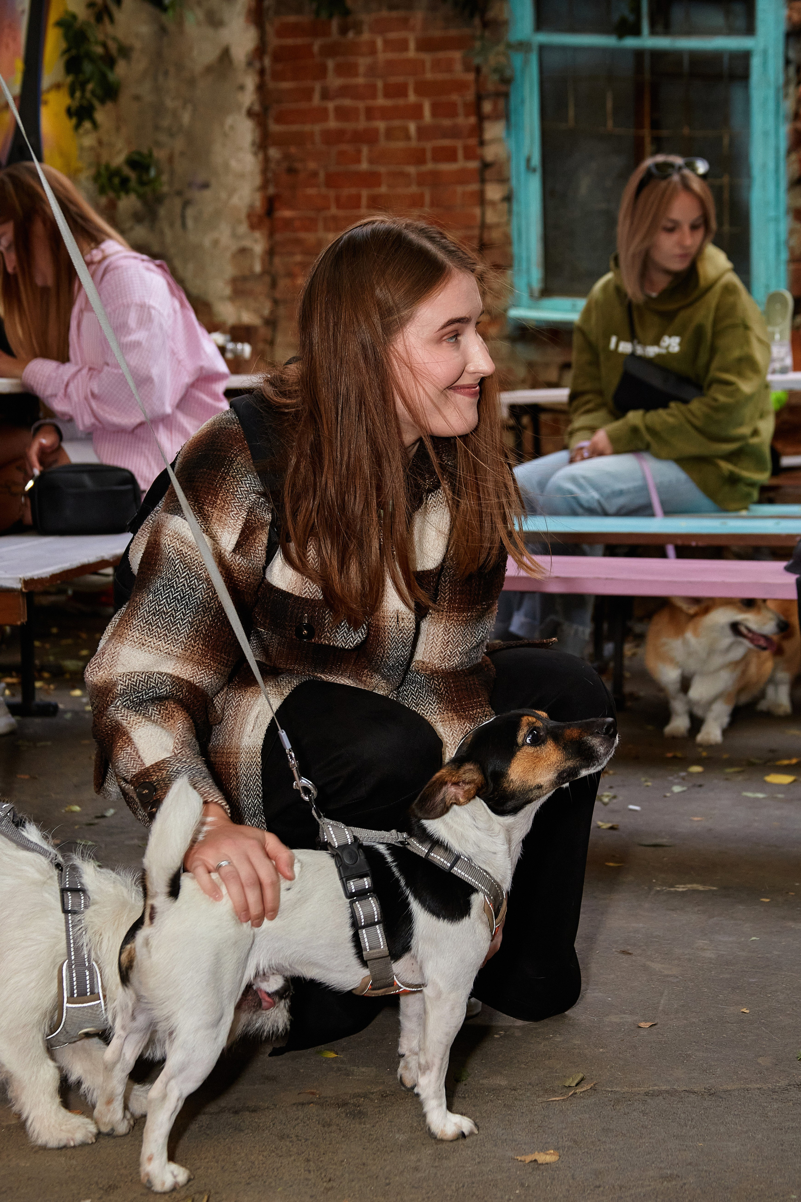 ДОГПАТИ х СОБАКА.RU. DENISOV ART (фото, видео, дизайн) САМАРА