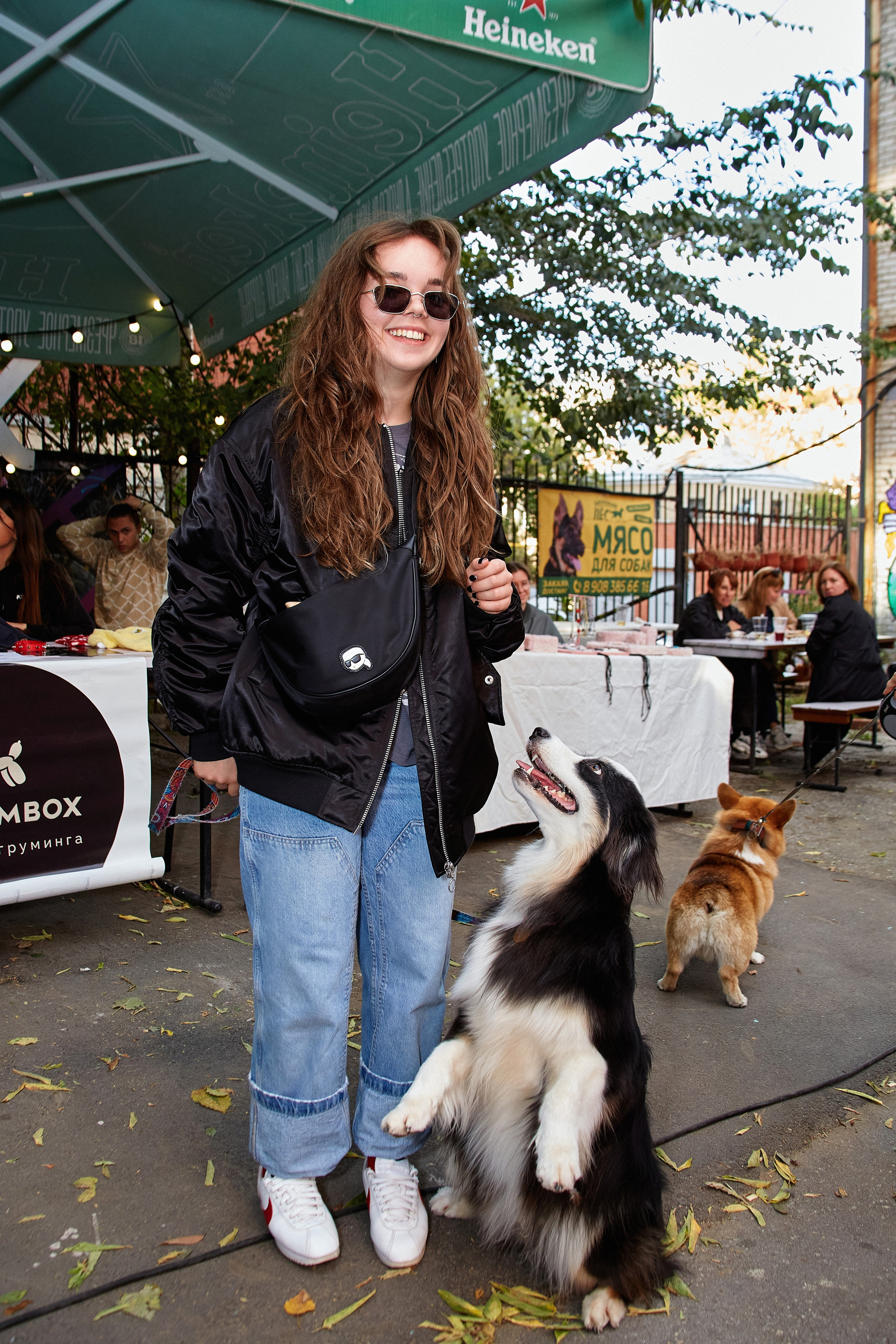 ДОГПАТИ х СОБАКА.RU. DENISOV ART (фото, видео, дизайн) САМАРА