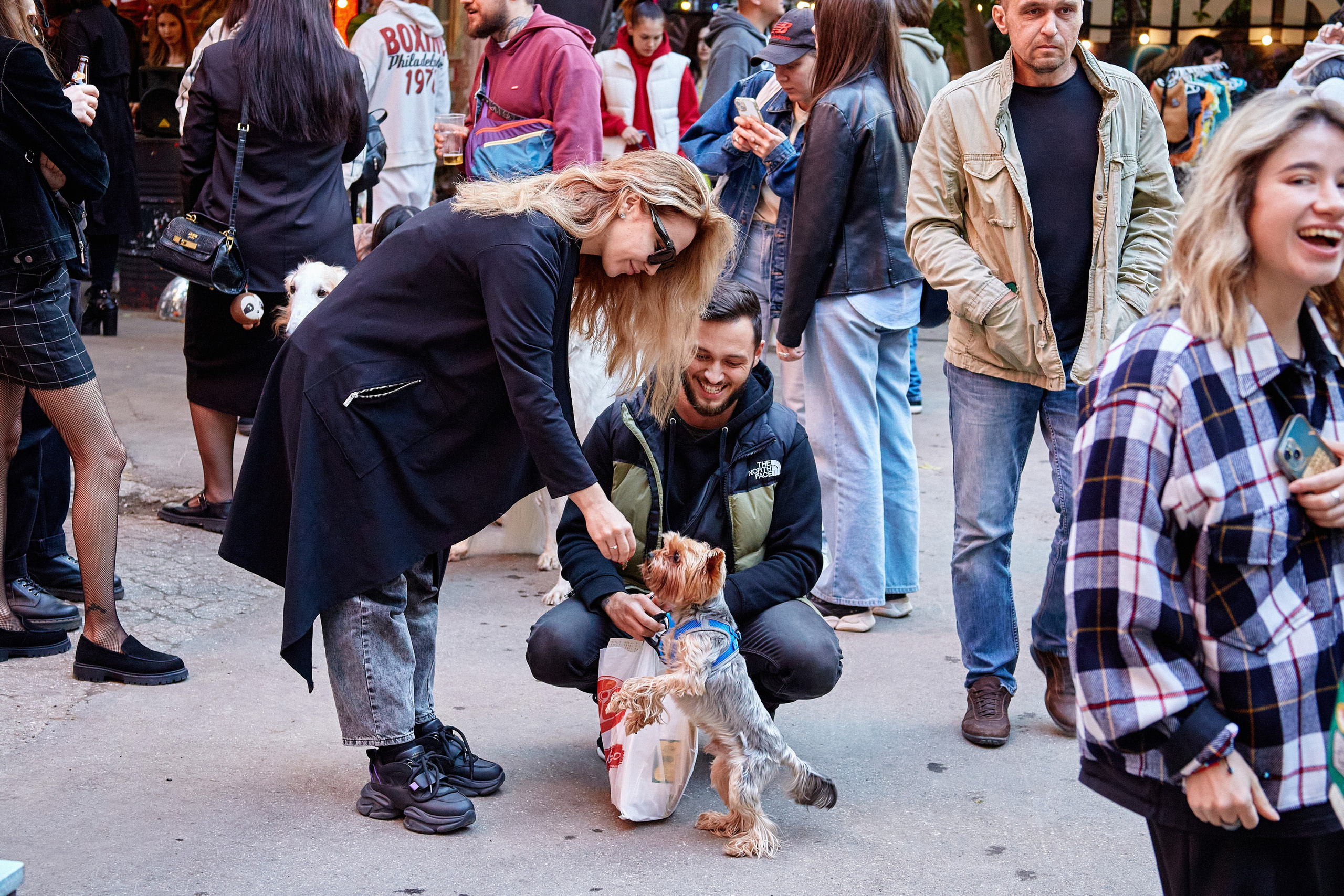 ДОГПАТИ х СОБАКА.RU. DENISOV ART (фото, видео, дизайн) САМАРА