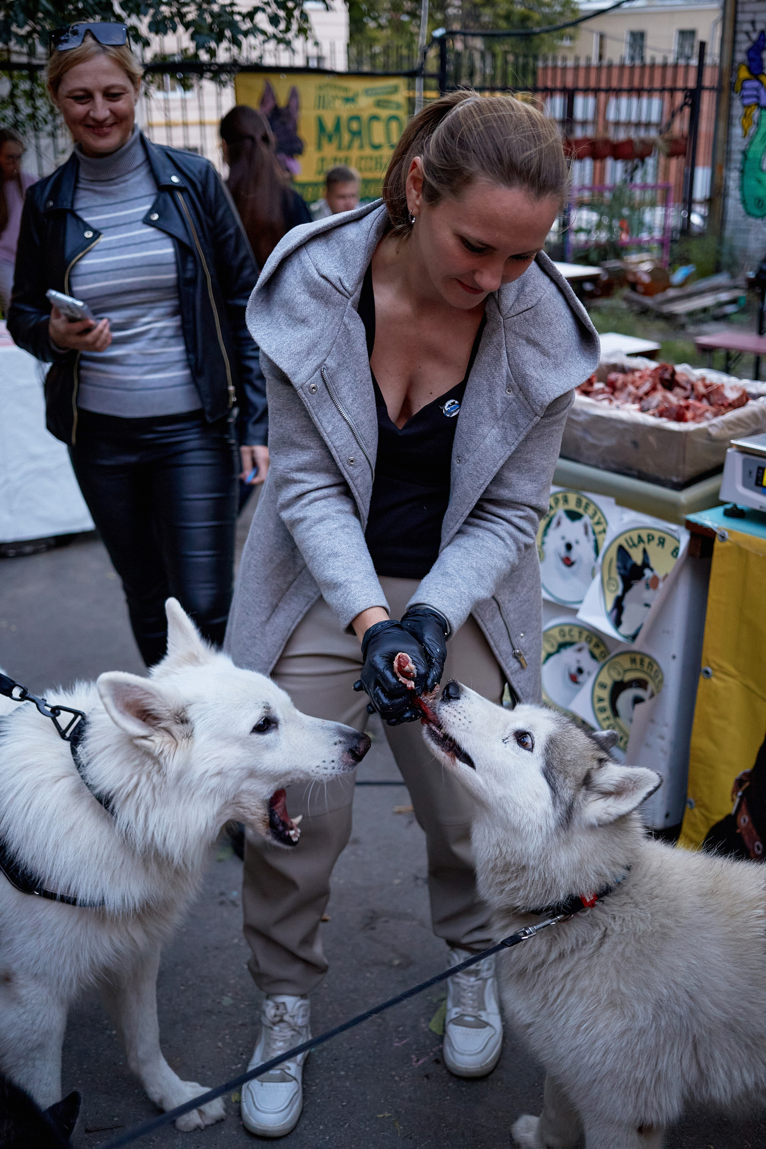 ДОГПАТИ х СОБАКА.RU. DENISOV ART (фото, видео, дизайн) САМАРА