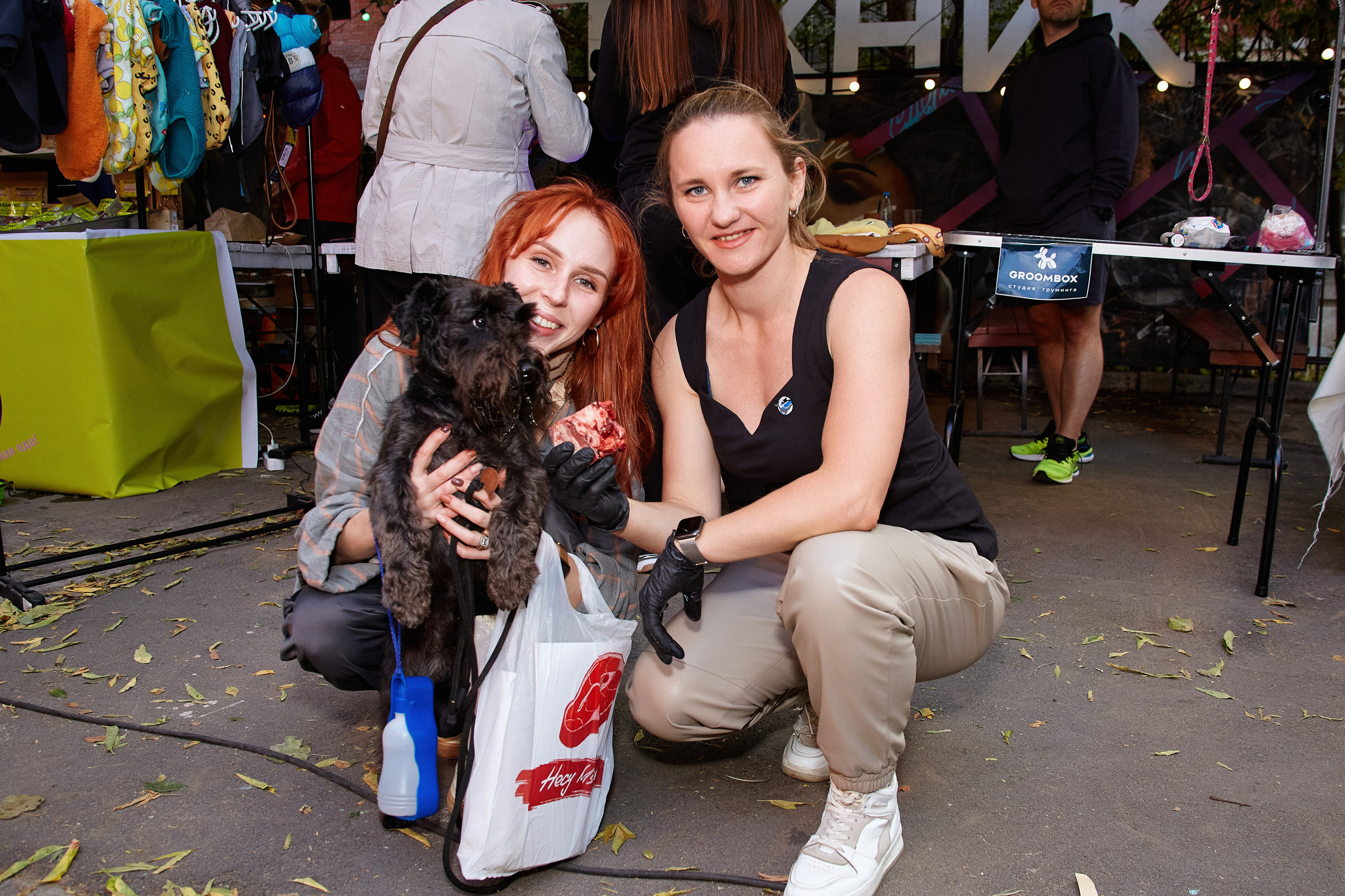 ДОГПАТИ х СОБАКА.RU. DENISOV ART (фото, видео, дизайн) САМАРА