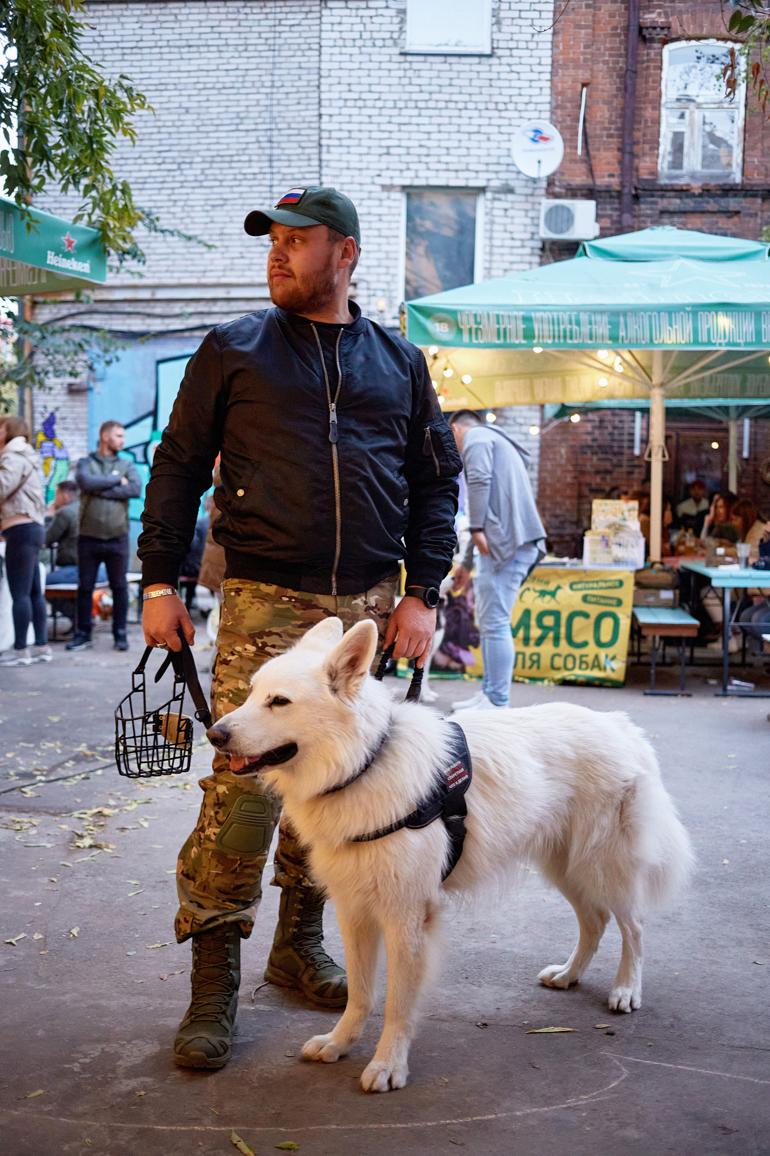 ДОГПАТИ х СОБАКА.RU. DENISOV ART (фото, видео, дизайн) САМАРА