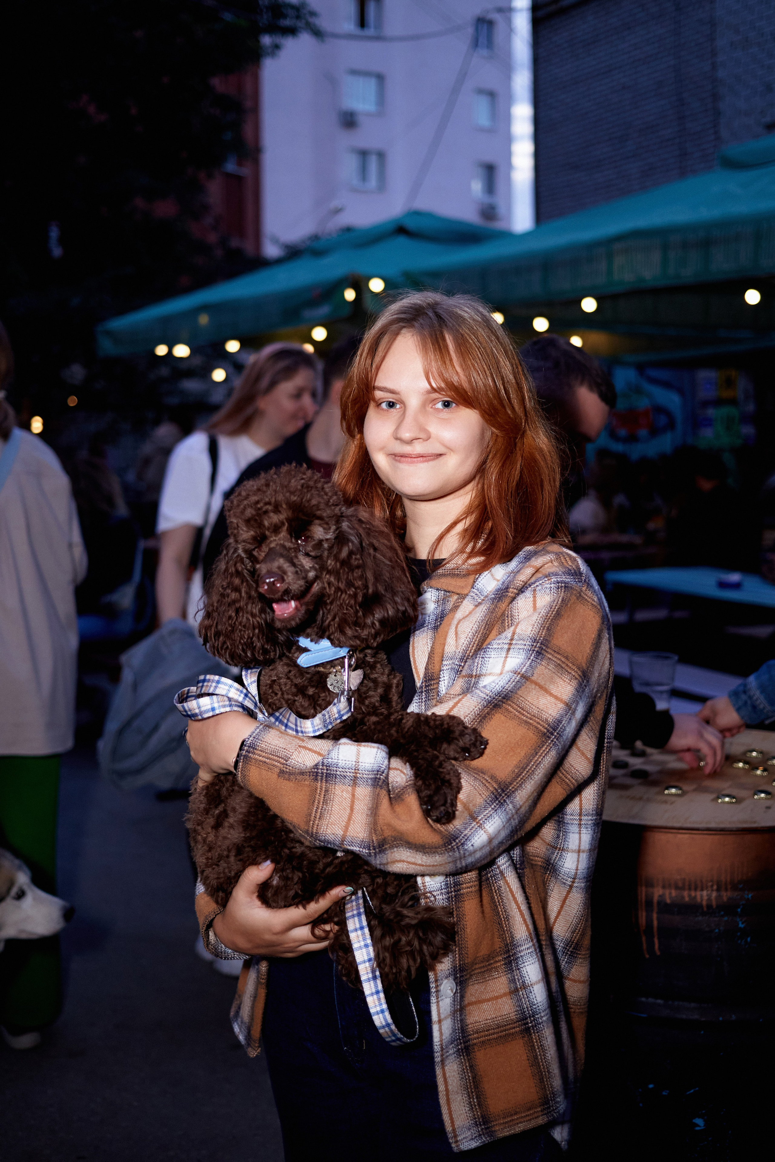 ДОГПАТИ х СОБАКА.RU. DENISOV ART (фото, видео, дизайн) САМАРА