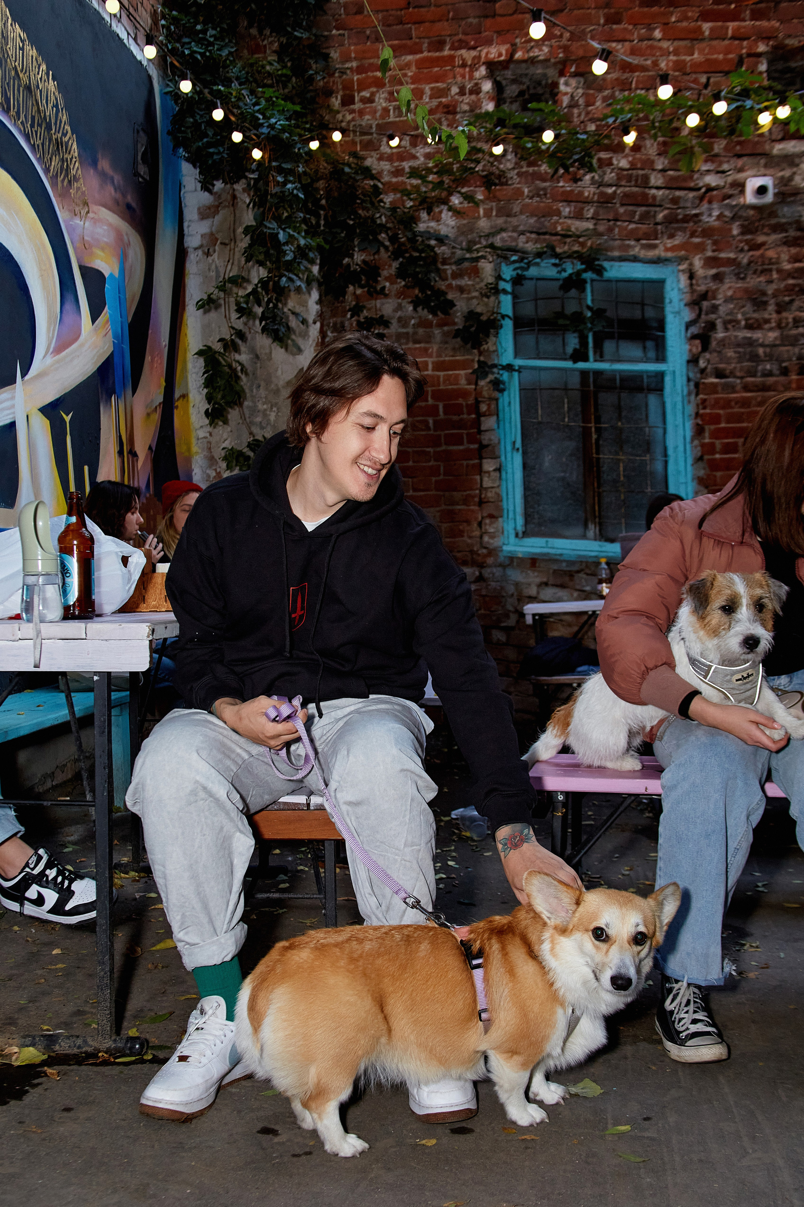 ДОГПАТИ х СОБАКА.RU. DENISOV ART (фото, видео, дизайн) САМАРА