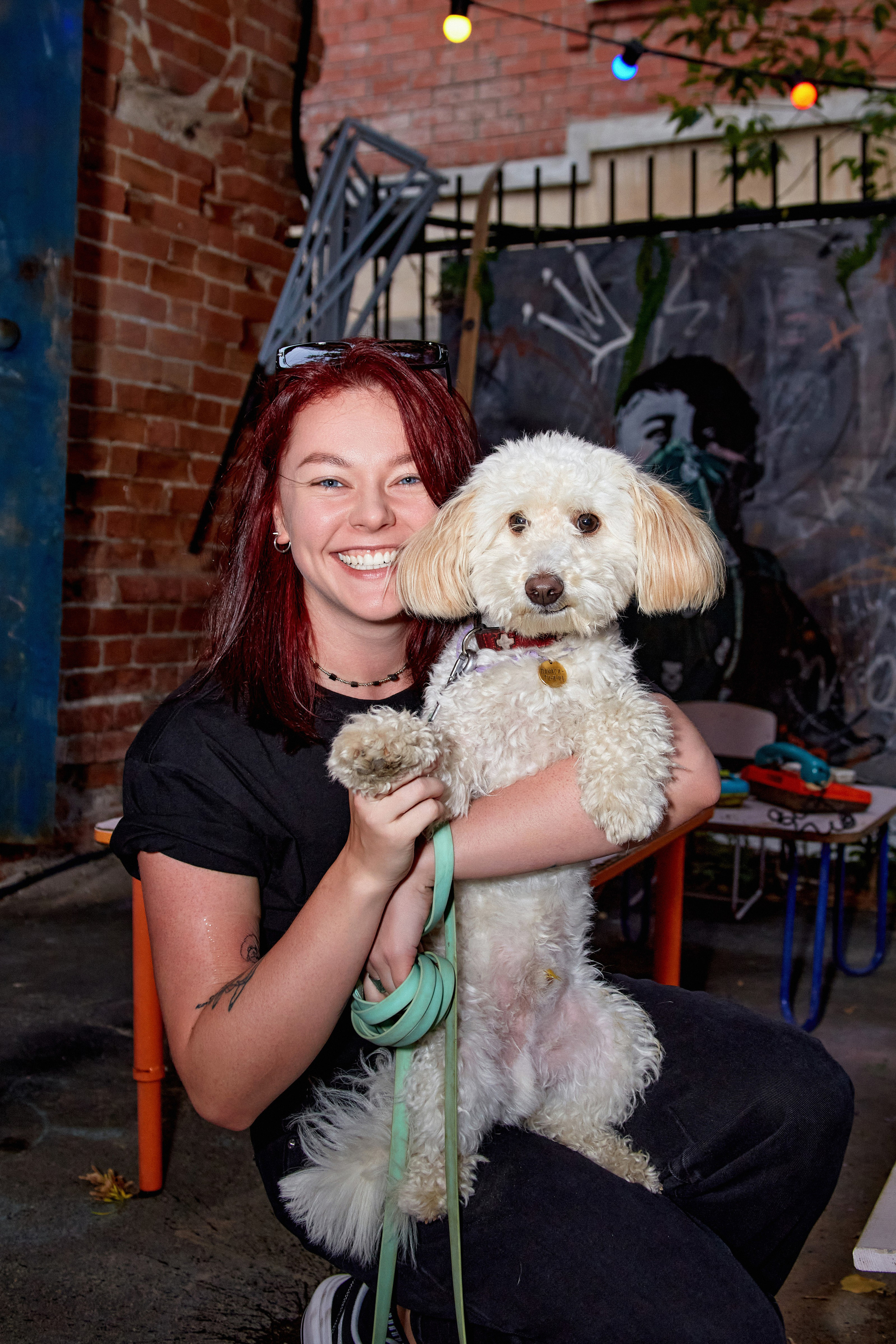 ДОГПАТИ х СОБАКА.RU. DENISOV ART (фото, видео, дизайн) САМАРА