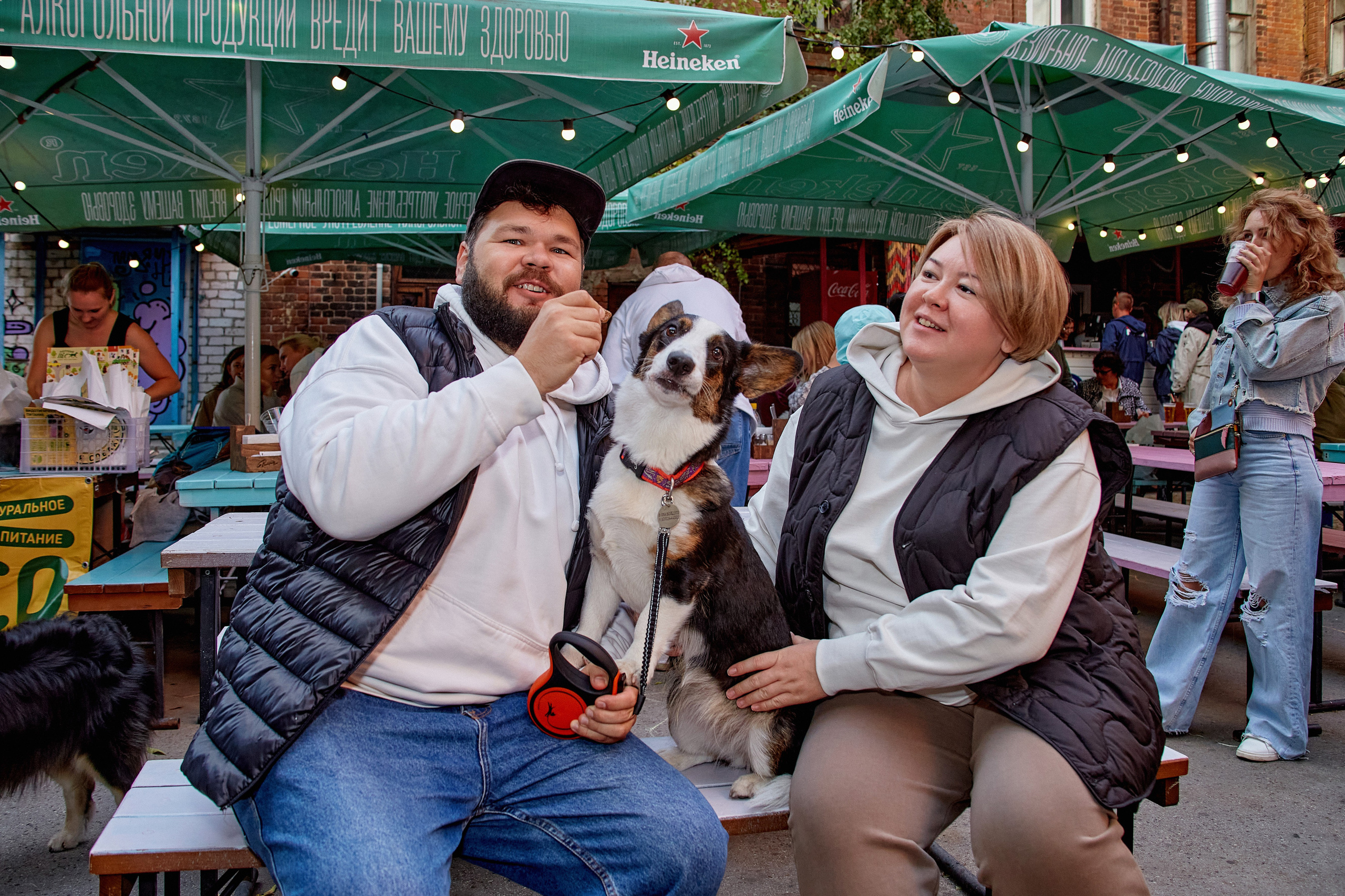 ДОГПАТИ х СОБАКА.RU. DENISOV ART (фото, видео, дизайн) САМАРА