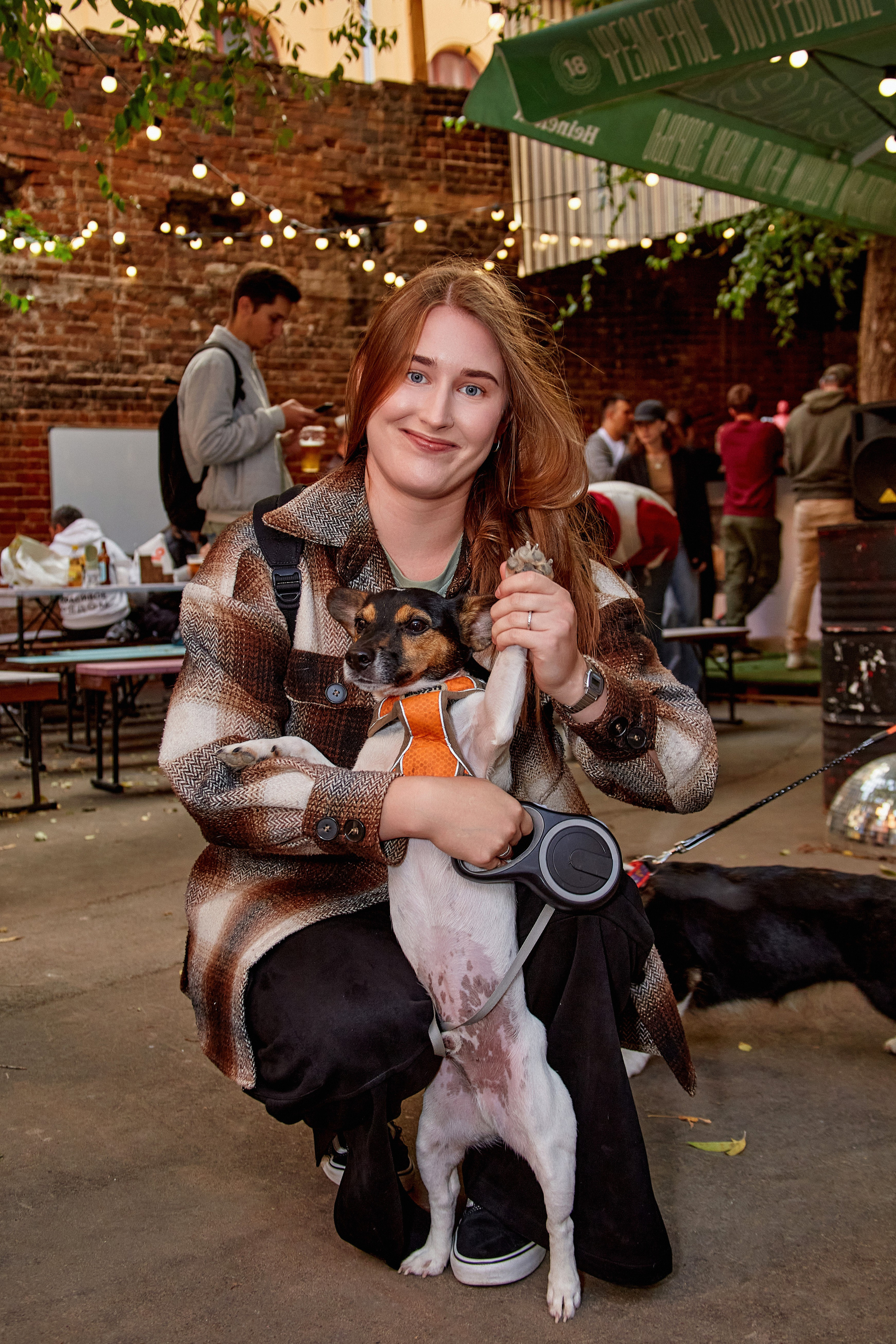 ДОГПАТИ х СОБАКА.RU. DENISOV ART (фото, видео, дизайн) САМАРА