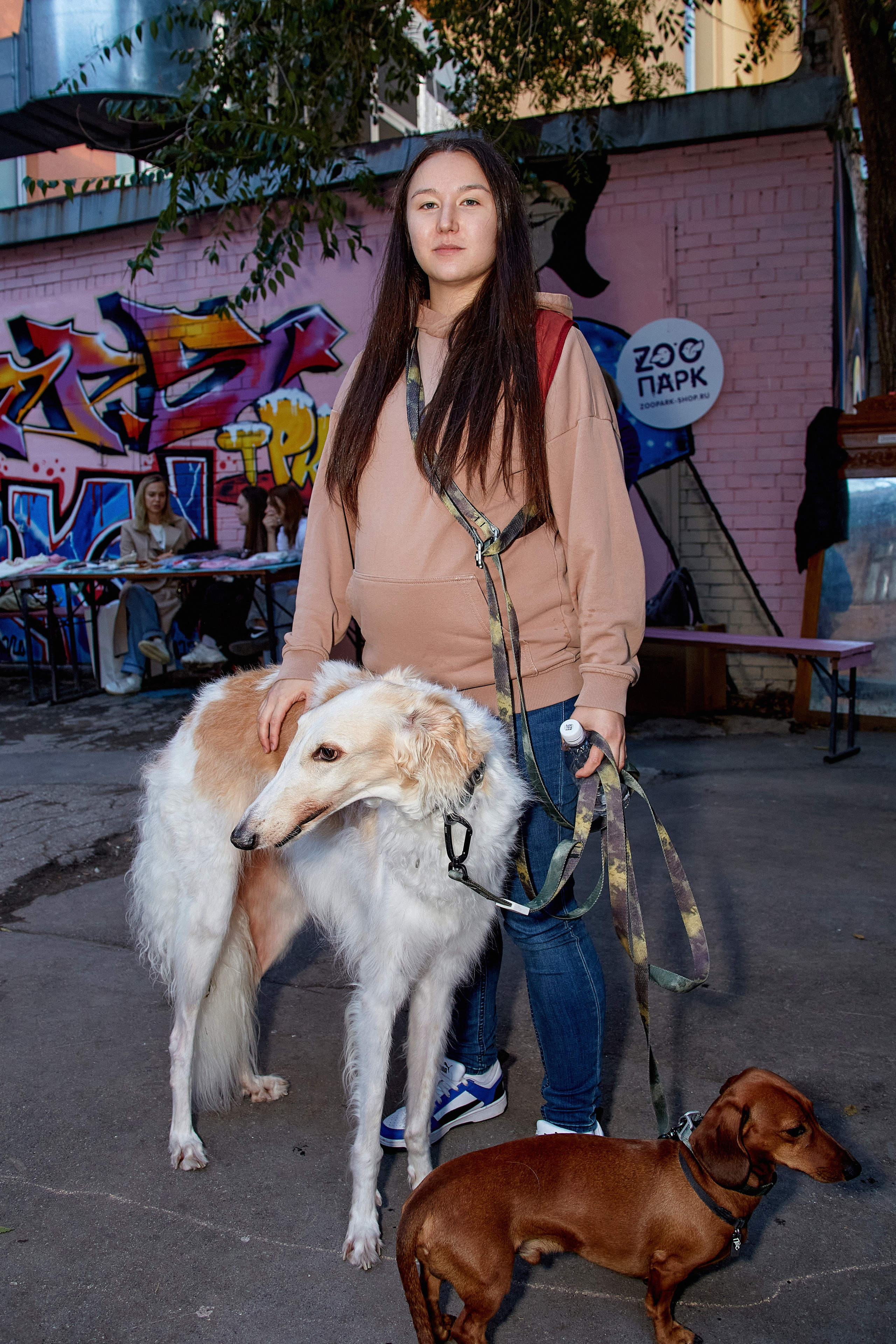 ДОГПАТИ х СОБАКА.RU. DENISOV ART (фото, видео, дизайн) САМАРА