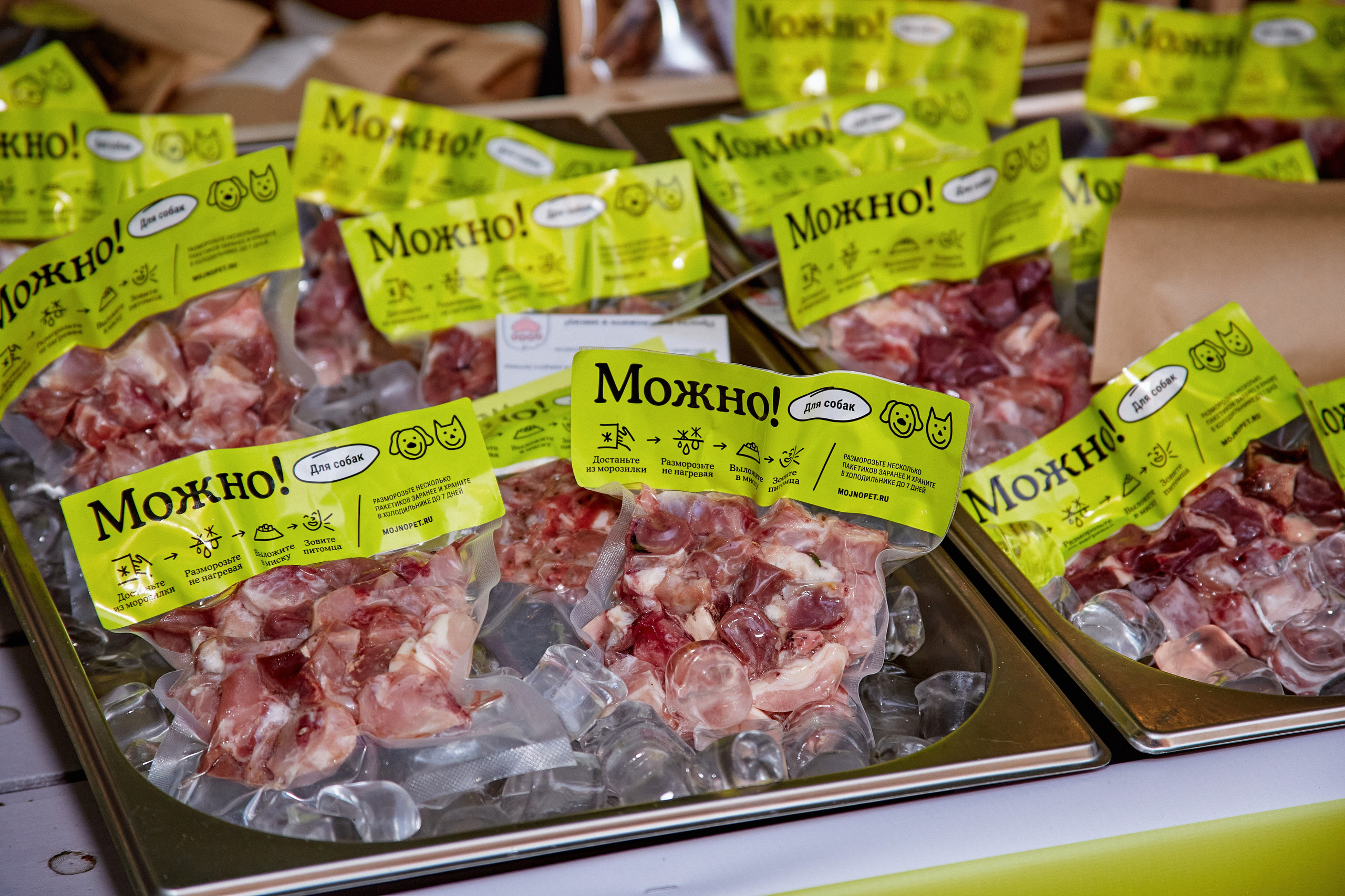 ДОГПАТИ х СОБАКА.RU. DENISOV ART (фото, видео, дизайн) САМАРА