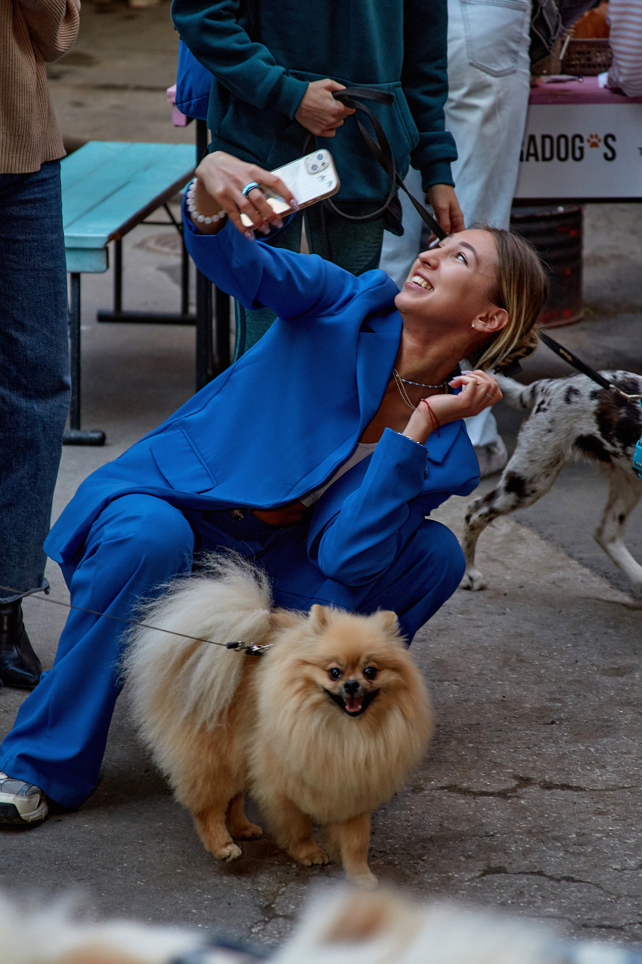 ДОГПАТИ х СОБАКА.RU. DENISOV ART (фото, видео, дизайн) САМАРА