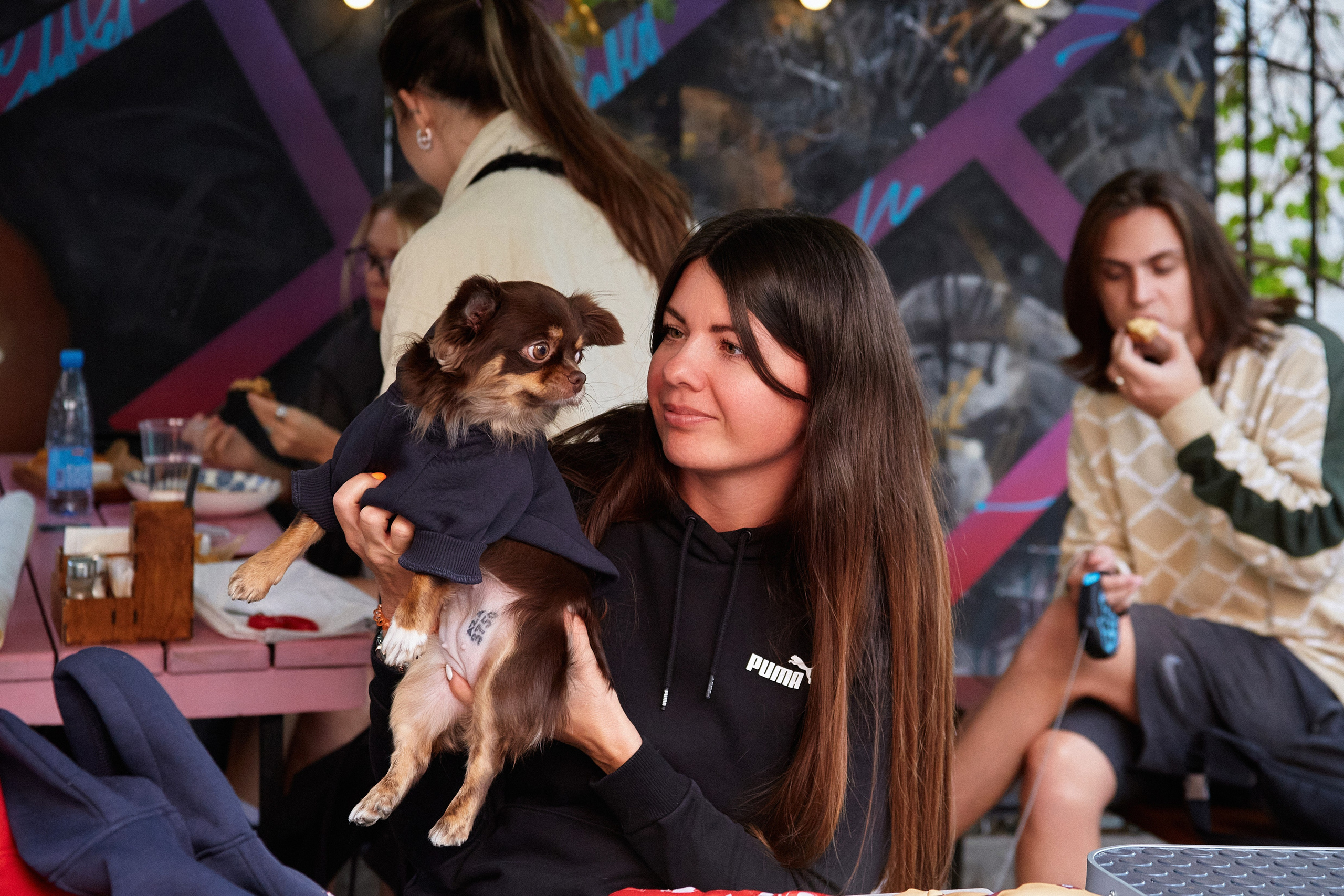 ДОГПАТИ х СОБАКА.RU. DENISOV ART (фото, видео, дизайн) САМАРА