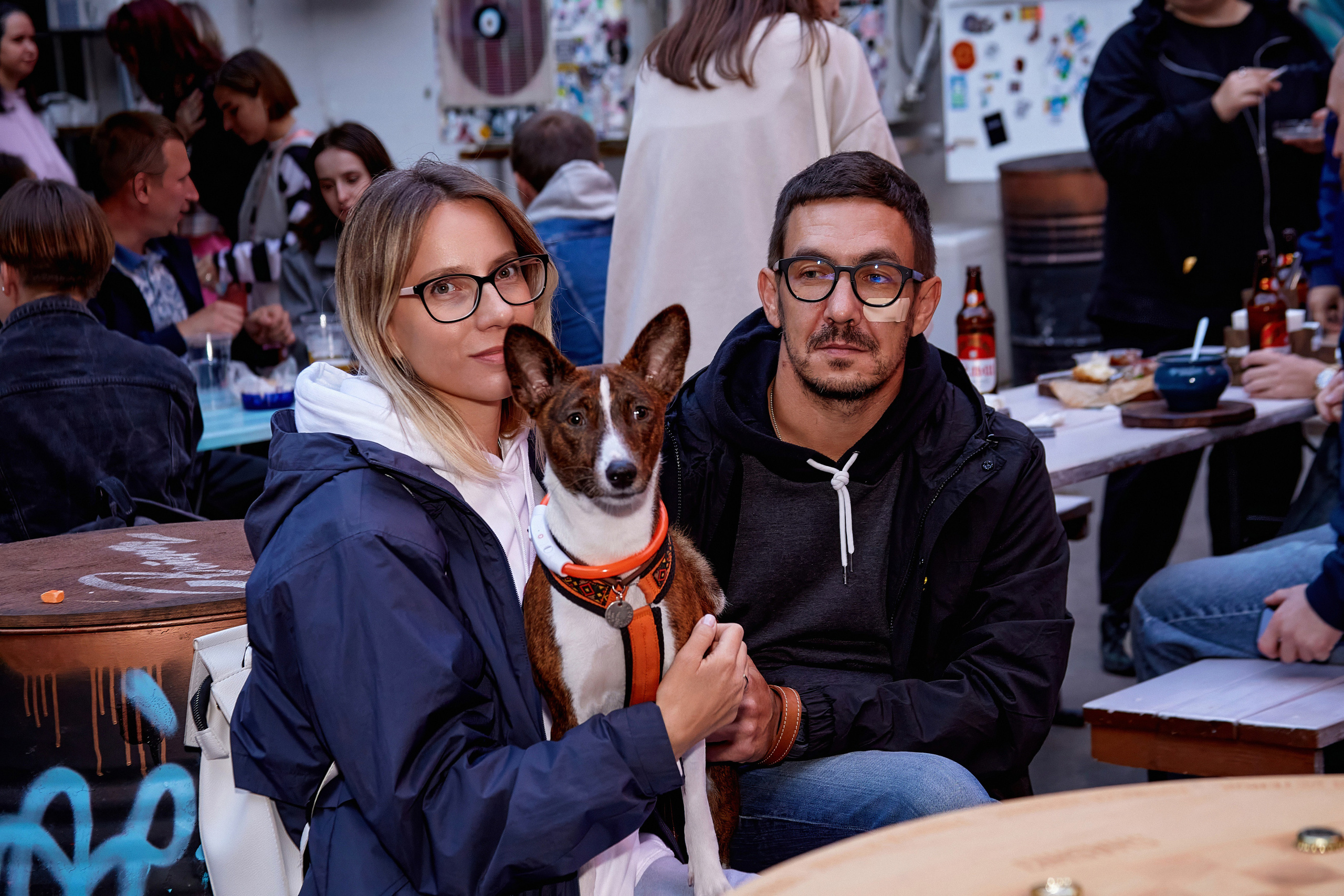 ДОГПАТИ х СОБАКА.RU. DENISOV ART (фото, видео, дизайн) САМАРА