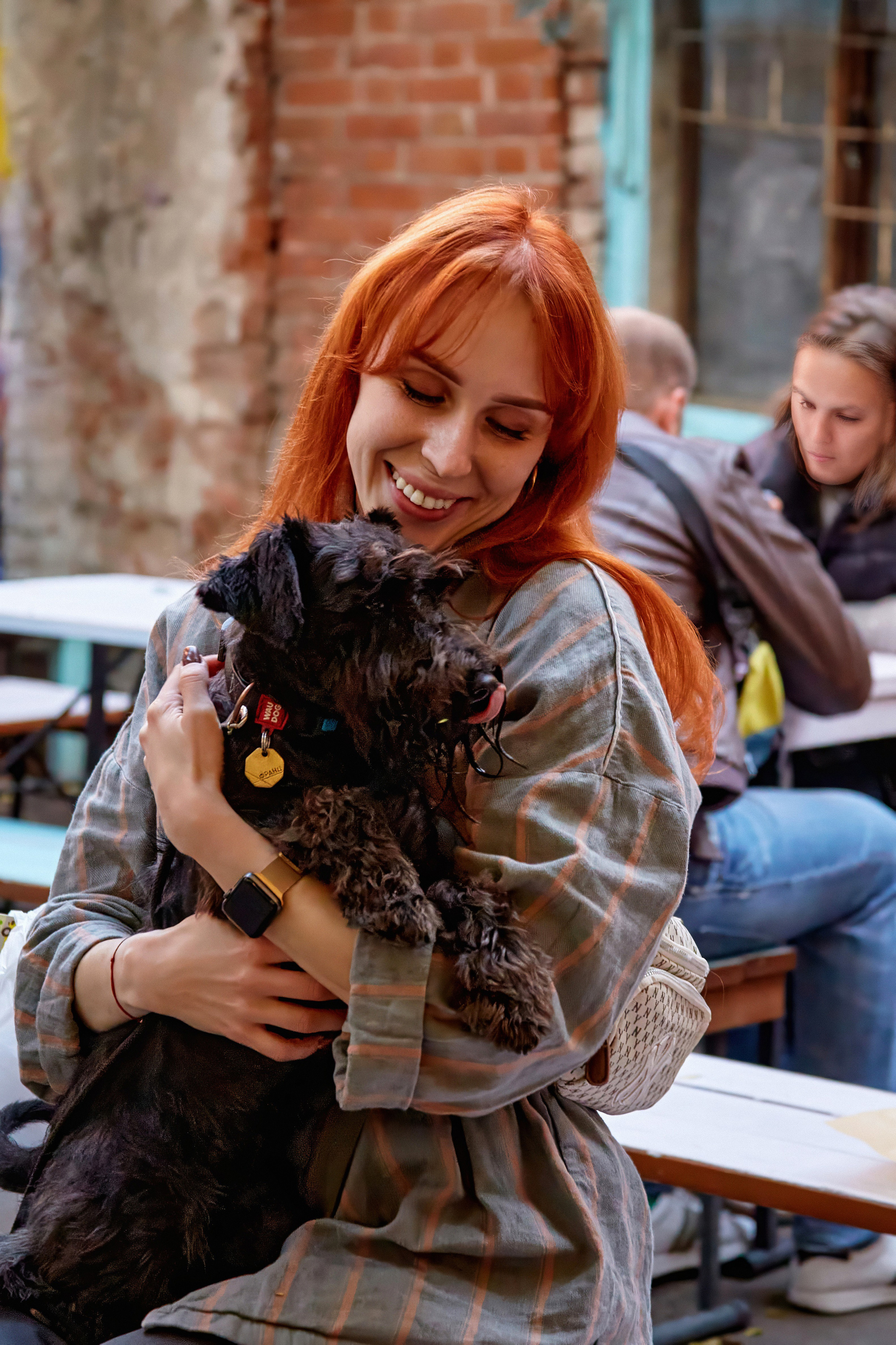 ДОГПАТИ х СОБАКА.RU. DENISOV ART (фото, видео, дизайн) САМАРА