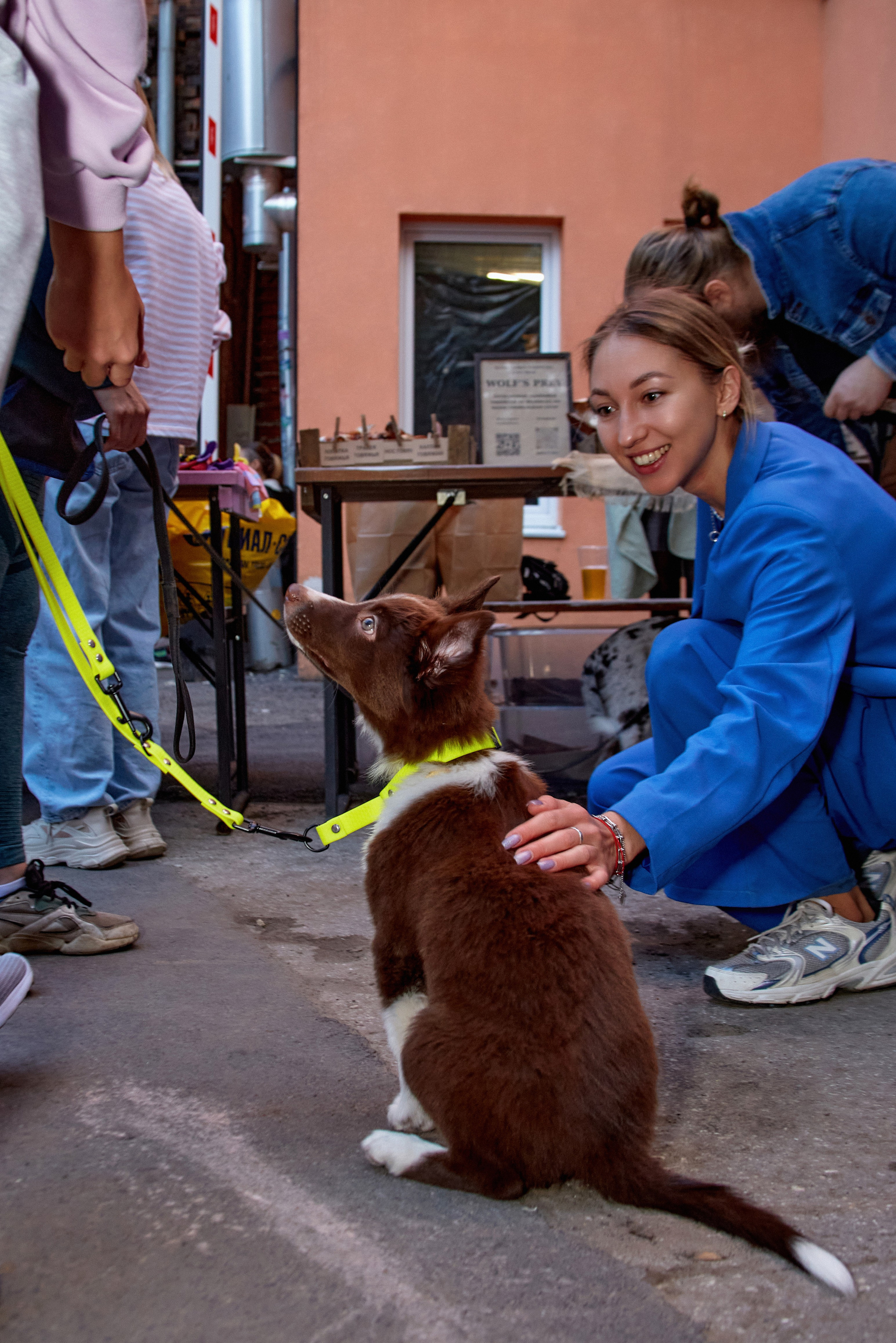 ДОГПАТИ х СОБАКА.RU. DENISOV ART (фото, видео, дизайн) САМАРА