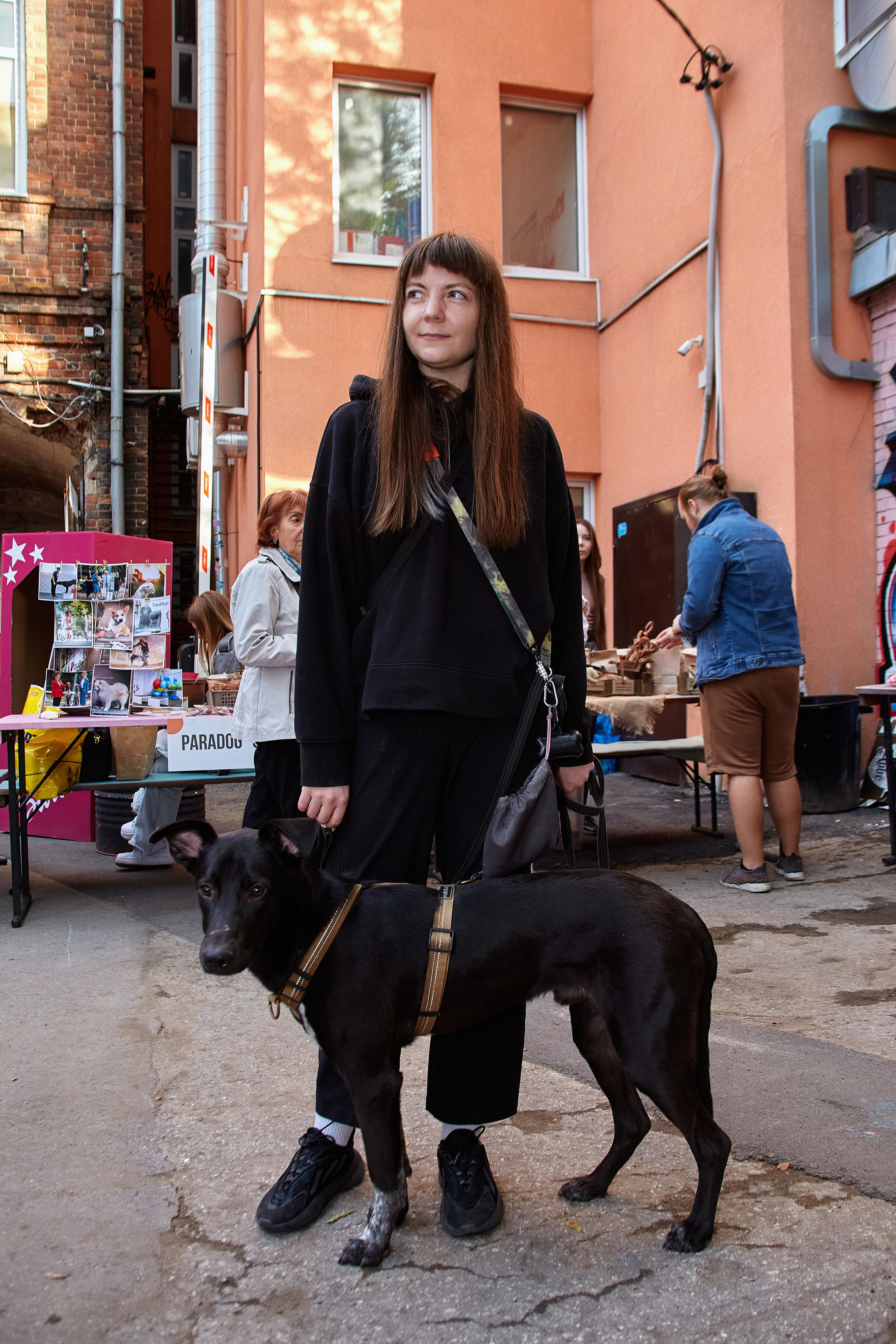 ДОГПАТИ х СОБАКА.RU. DENISOV ART (фото, видео, дизайн) САМАРА