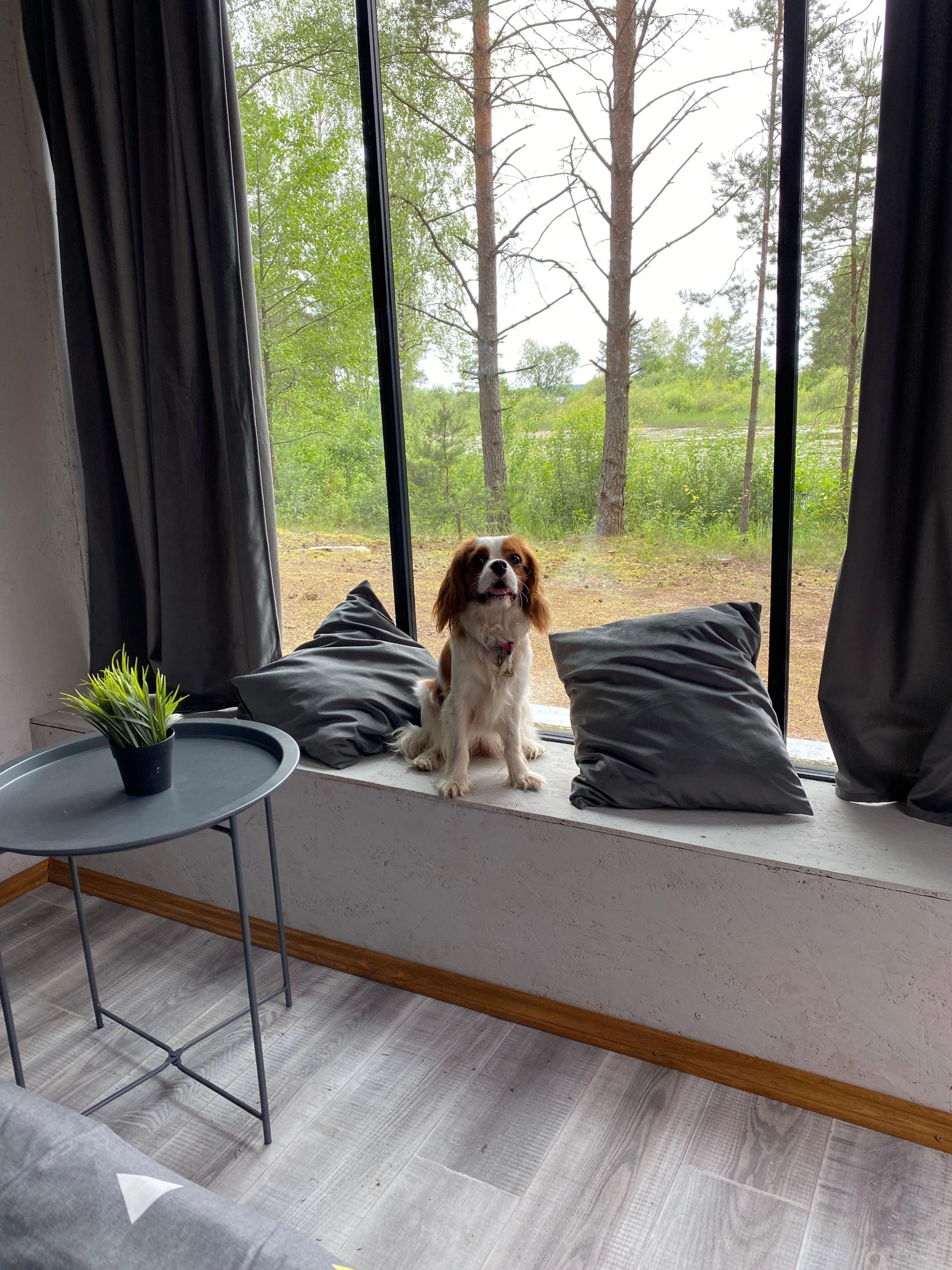 Добро пожаловать в Кемпинг — уникальное место для отдыха на лоне природы!