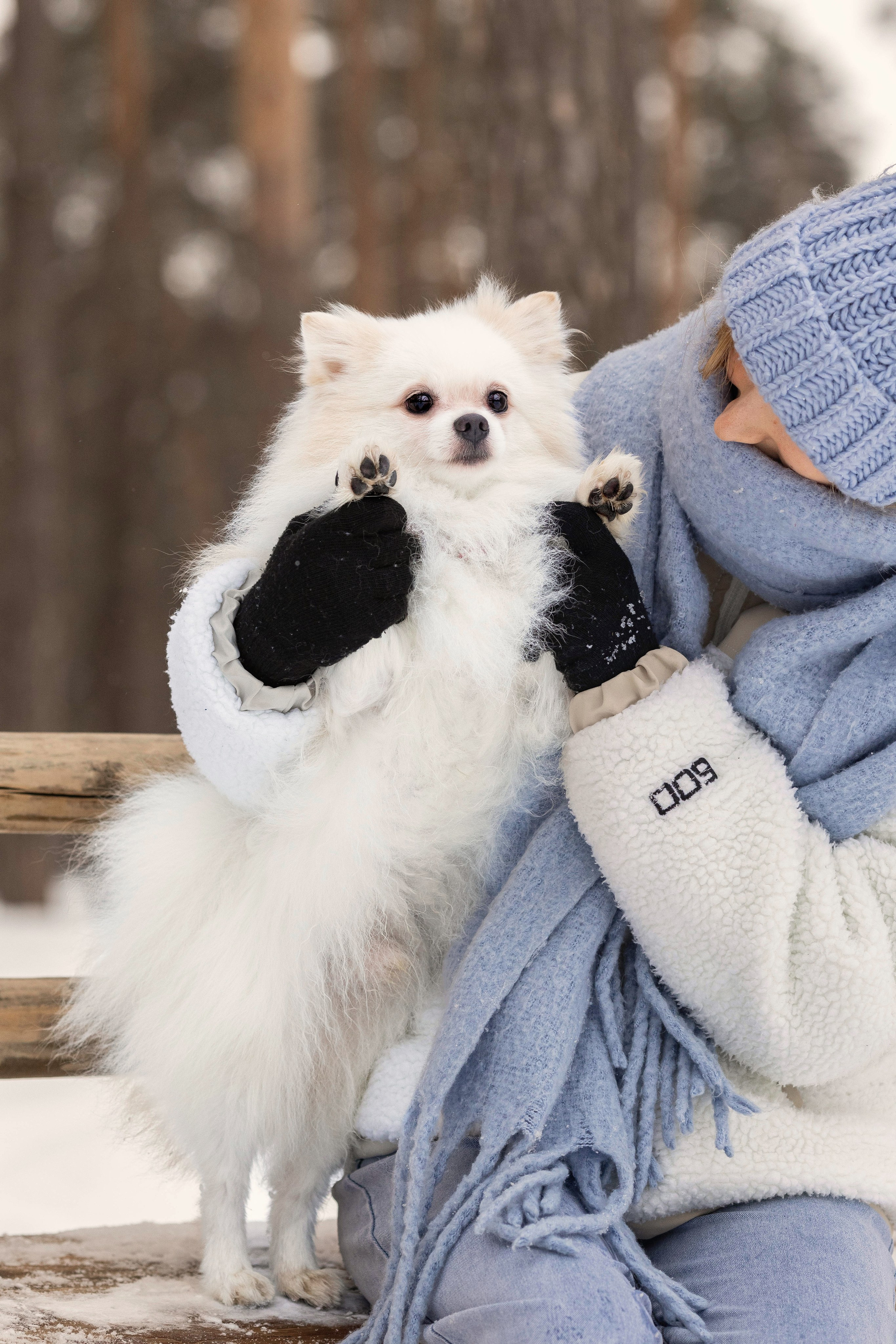 Элина и Чинк. Фотограф Анималист в Перми Анастасия Остерман