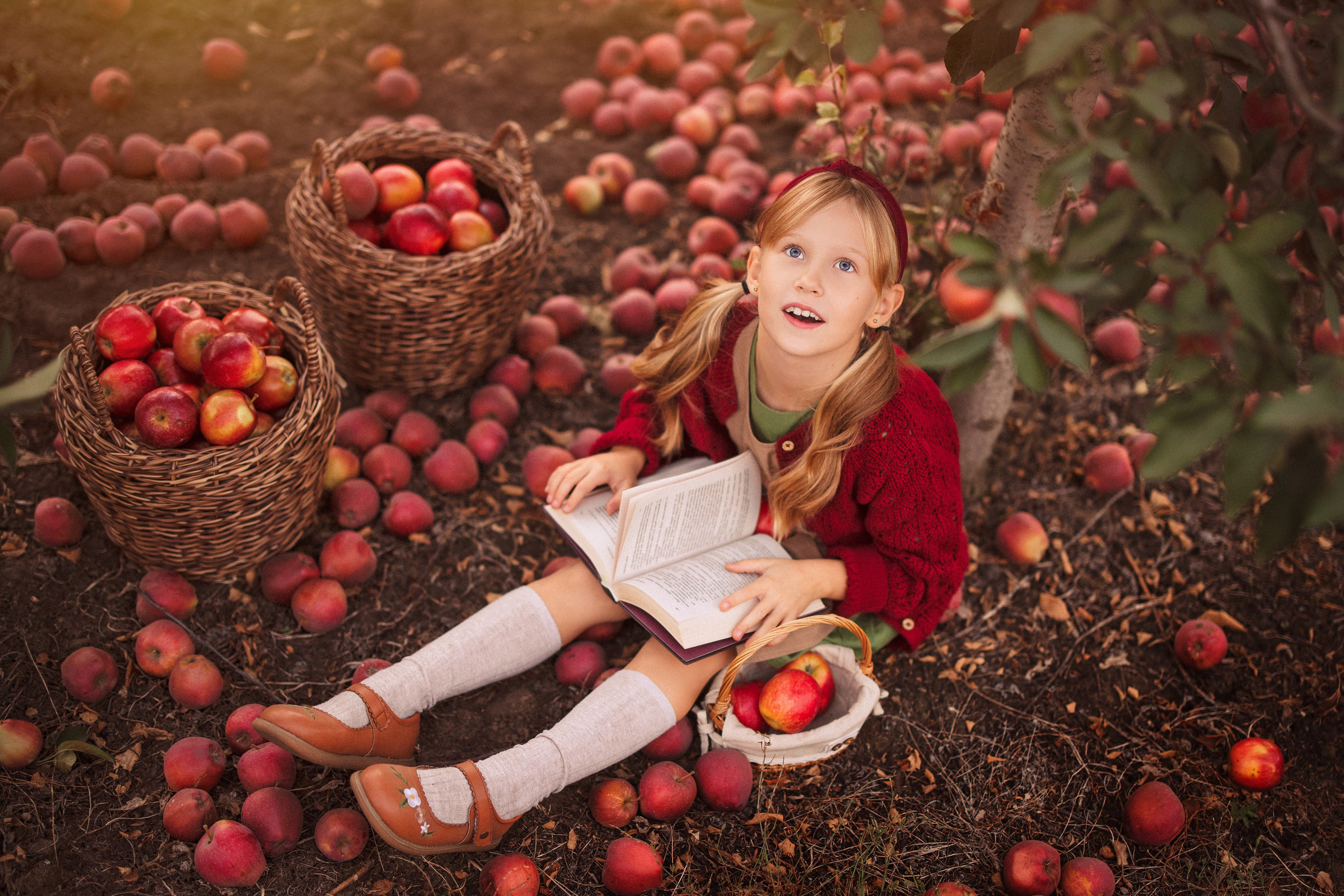 Сбор урожая Яблок. Семейный и детский фотограф в Краснодаре Анна Трашкова