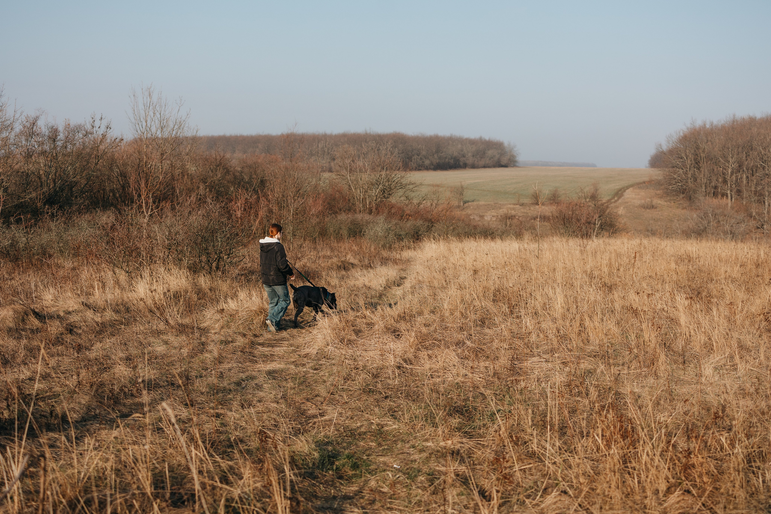 Лера, Ума и Винни. Фотограф — анималист Светлана Кысса|фотограф собак в Краснодаре и Нижнем Новгороде