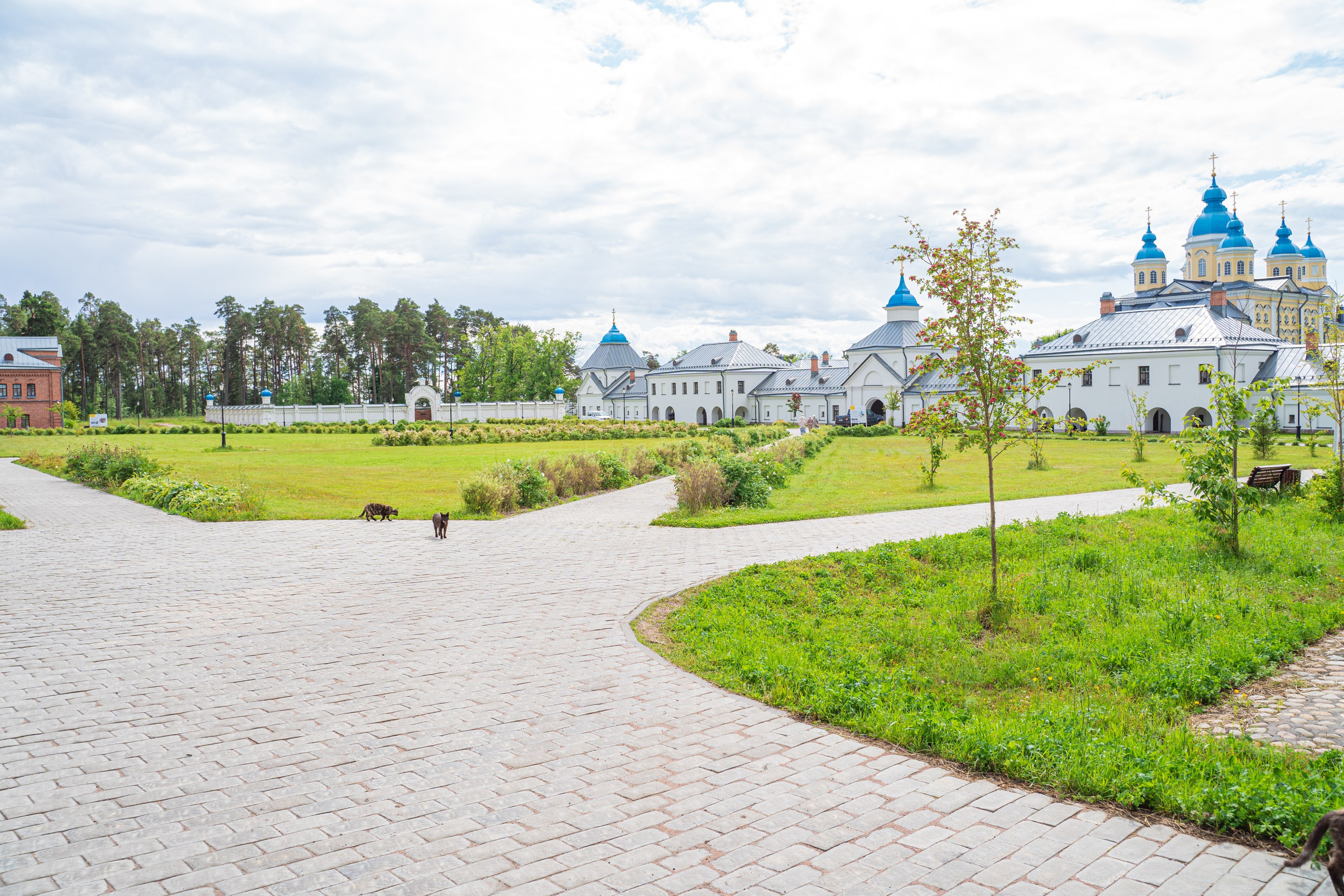 Гидровыезд в Коневский мужской монастырь. Свадебный, семейный, портретный, репортажный фотограф в Санкт-Петербурге