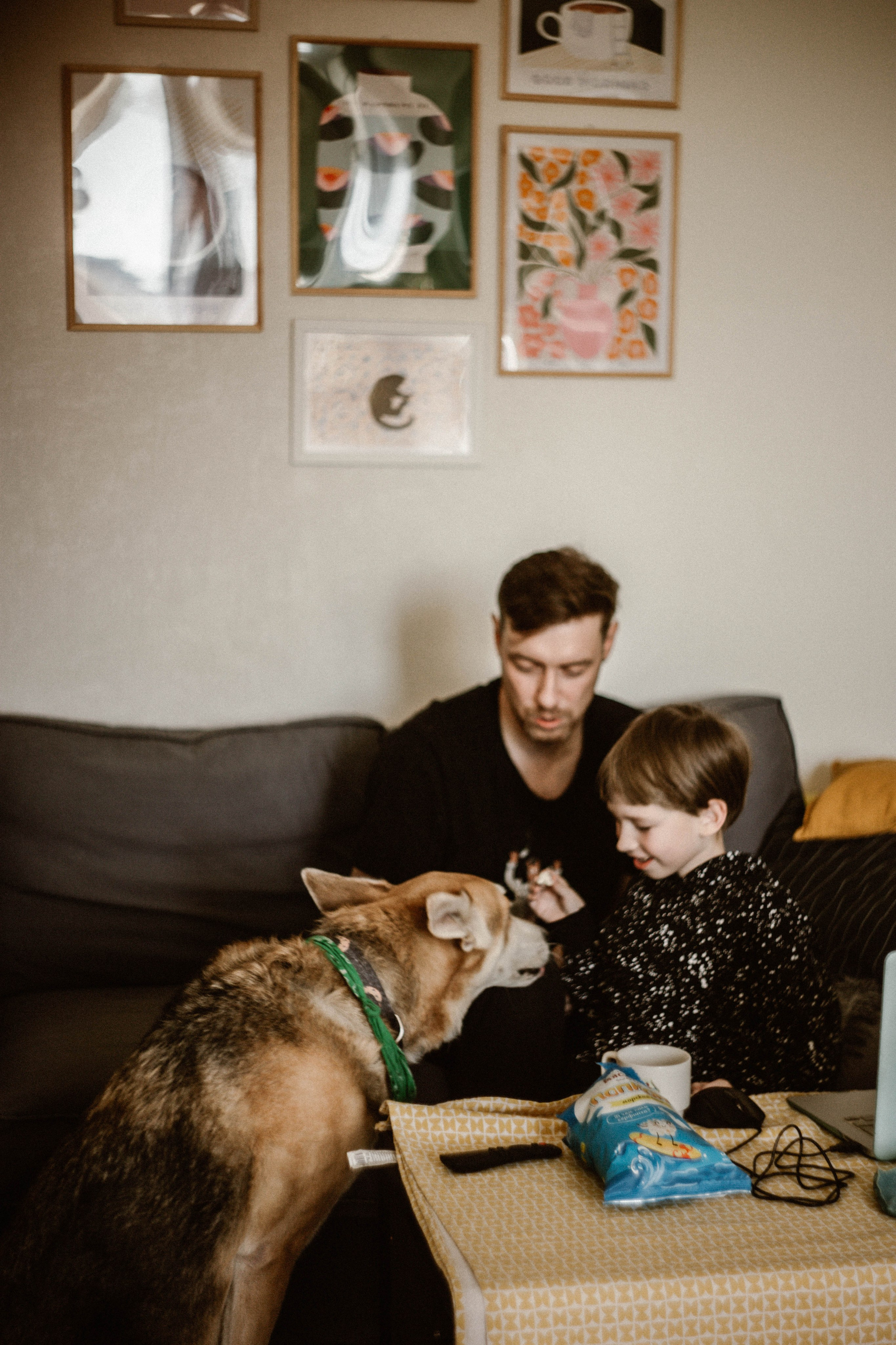 Миша. Матвей. Эмми. Фотограф в Нижнем Новгороде