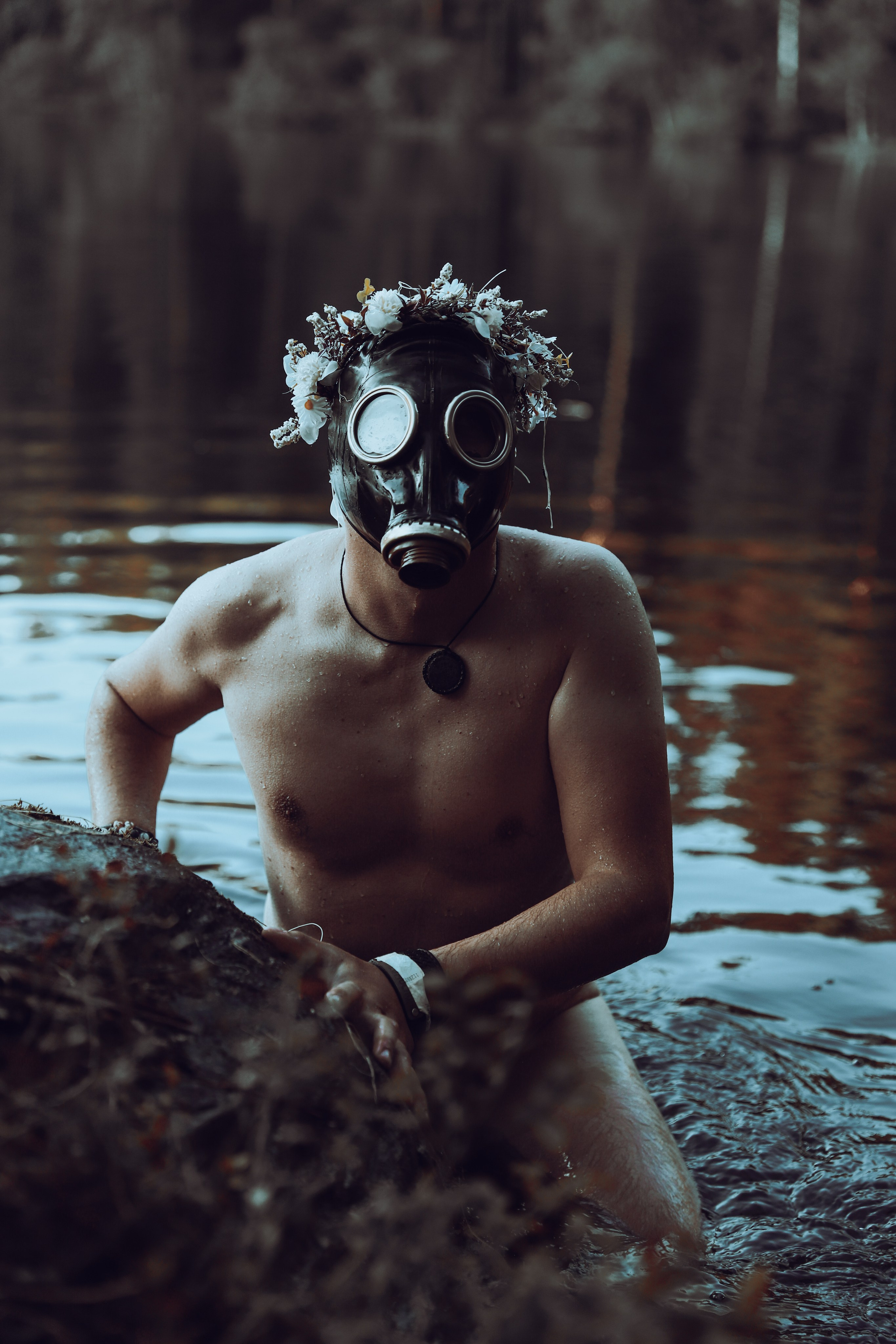 Фестиваль Жива