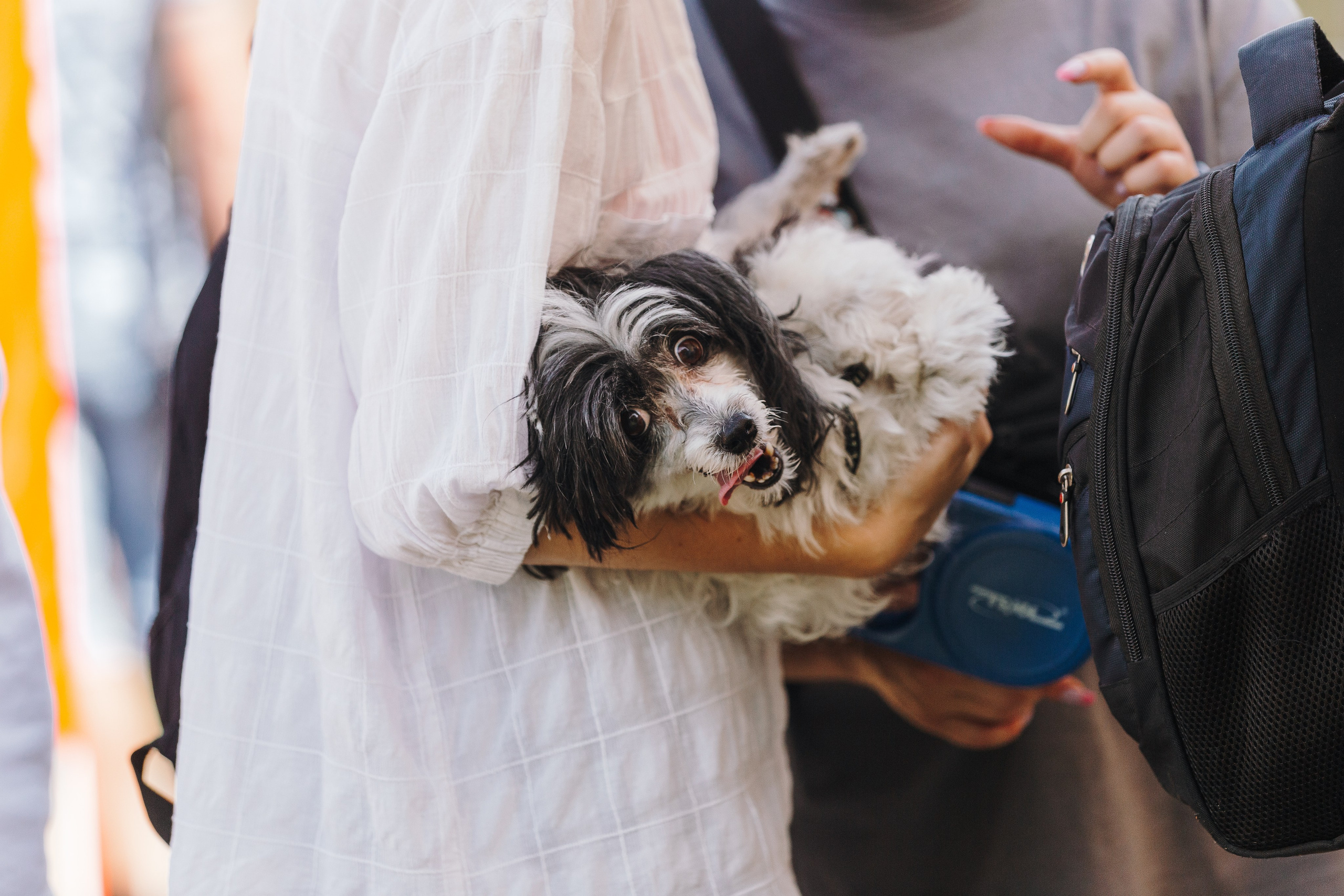 Petshop Sup day. Фотограф анималист Кристина Карпова, Москва