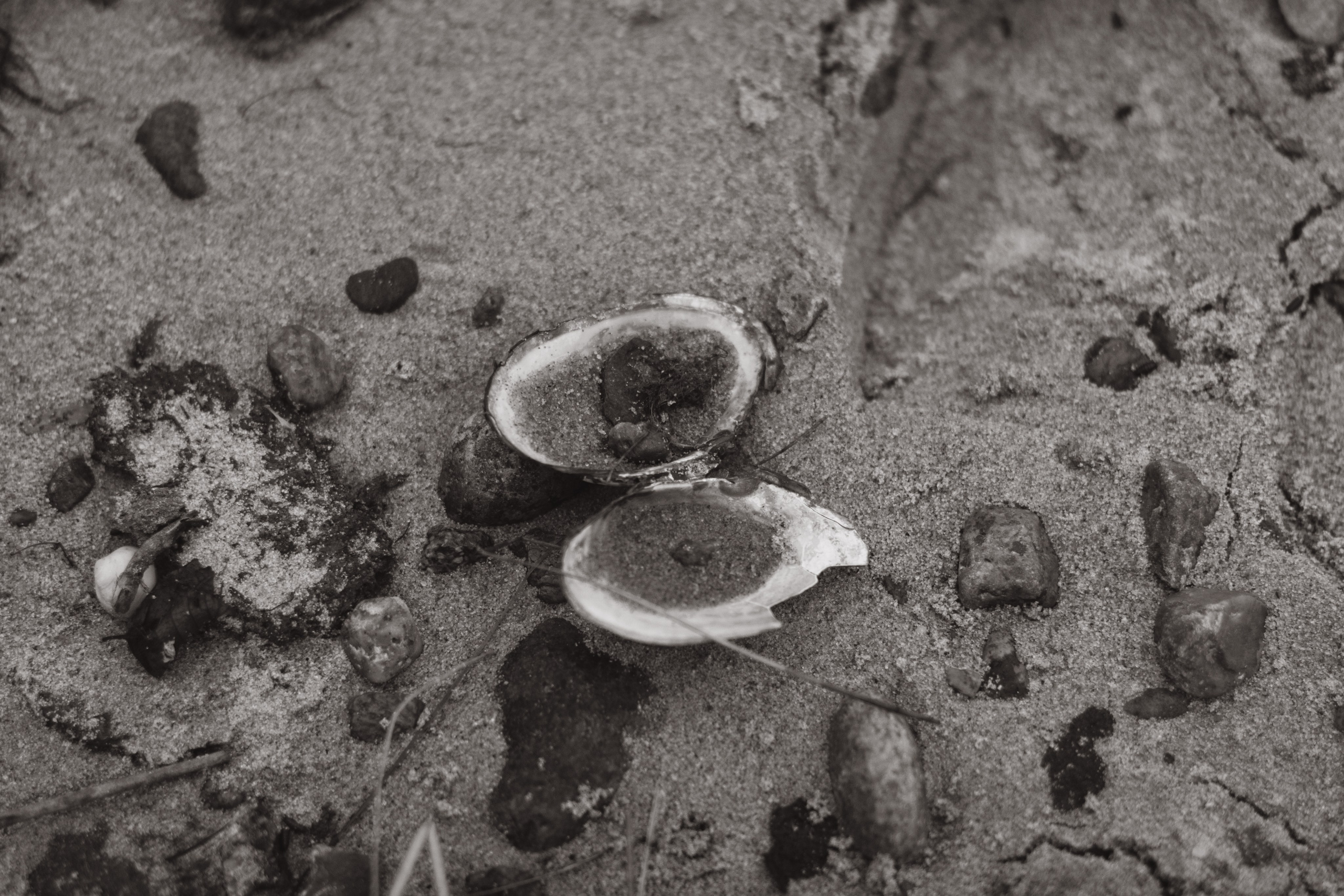 На краю света. Семейный и детский фотограф в Санкт-Петербурге — Лаврова Ольга