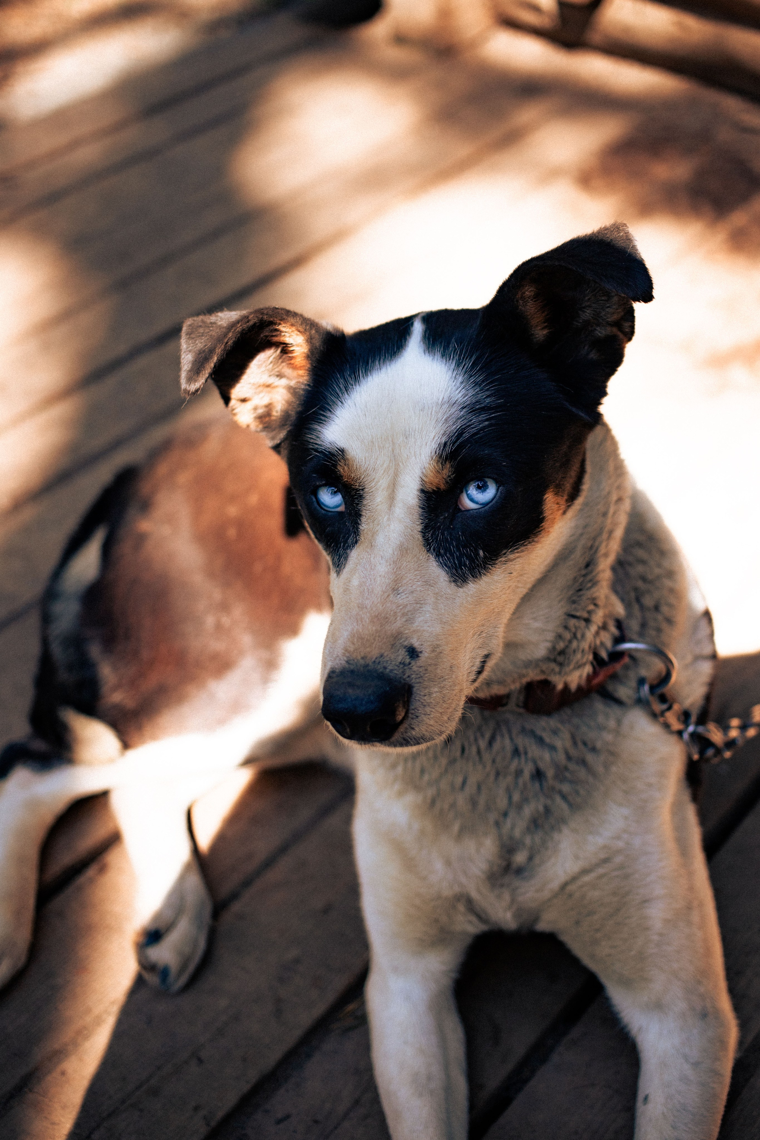 Карелия. Фотограф в Минске Анастасия Ткаченко