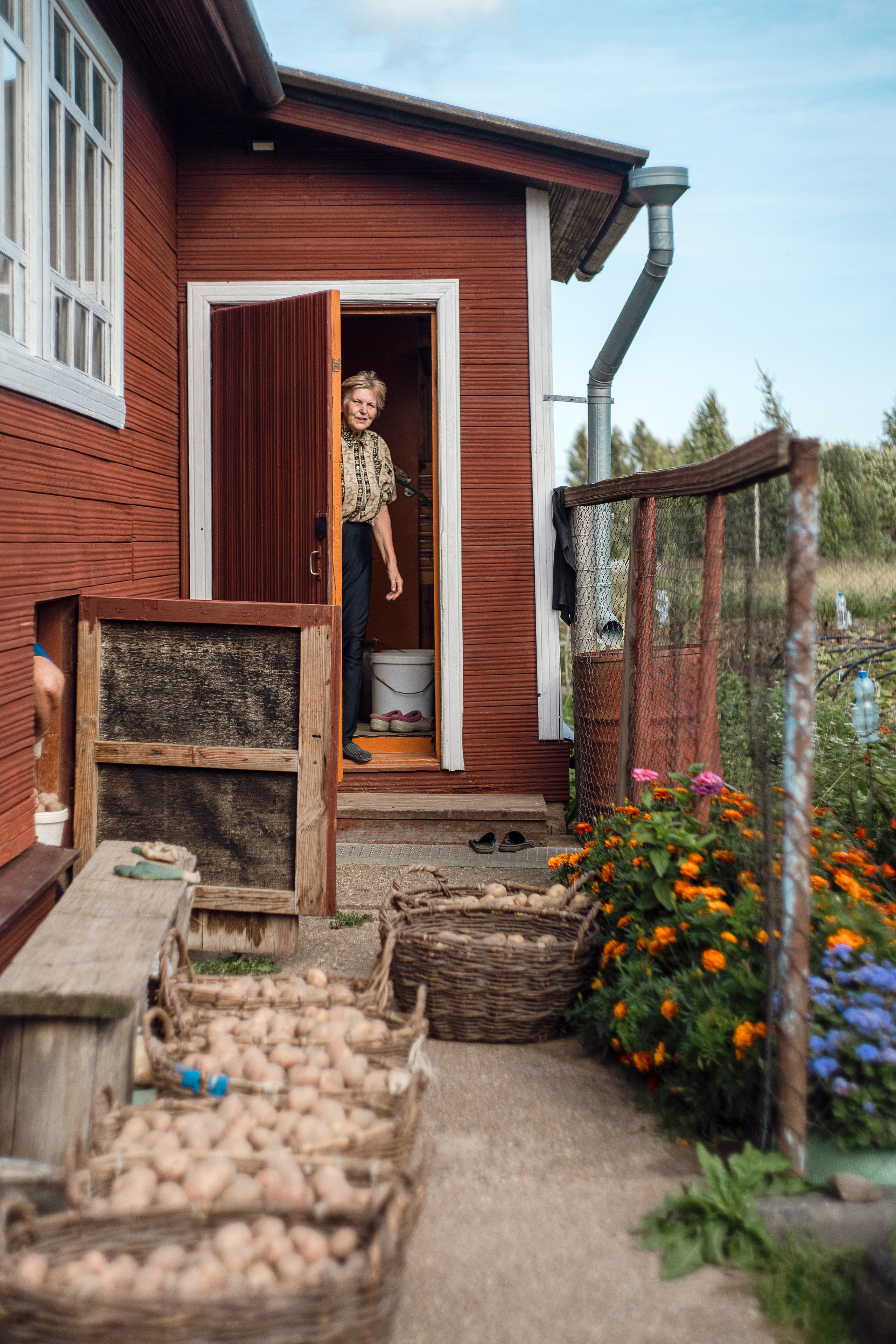 Цветные фотографии. Фотографии Лены Соколовой