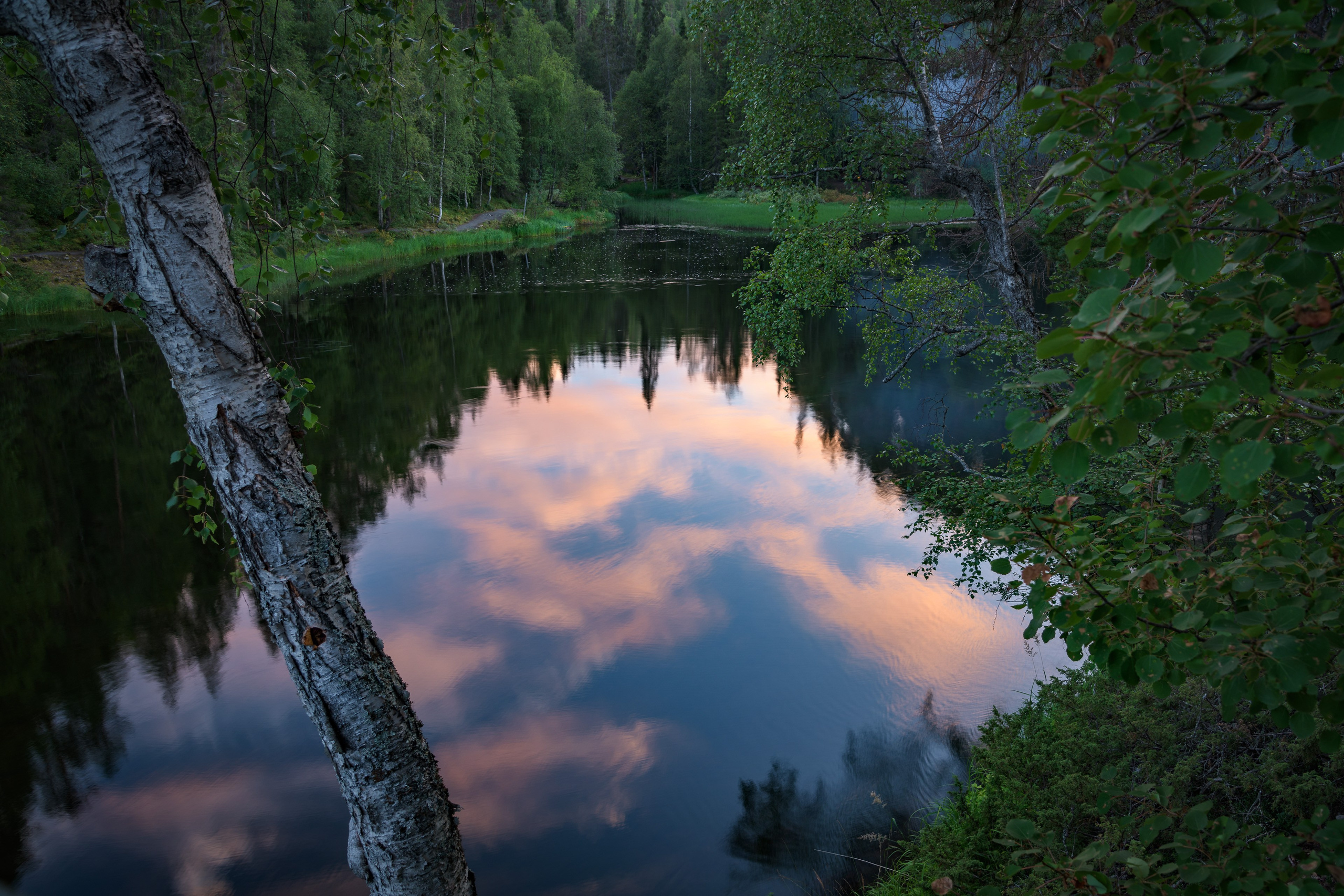 Лето. Северные Ночи