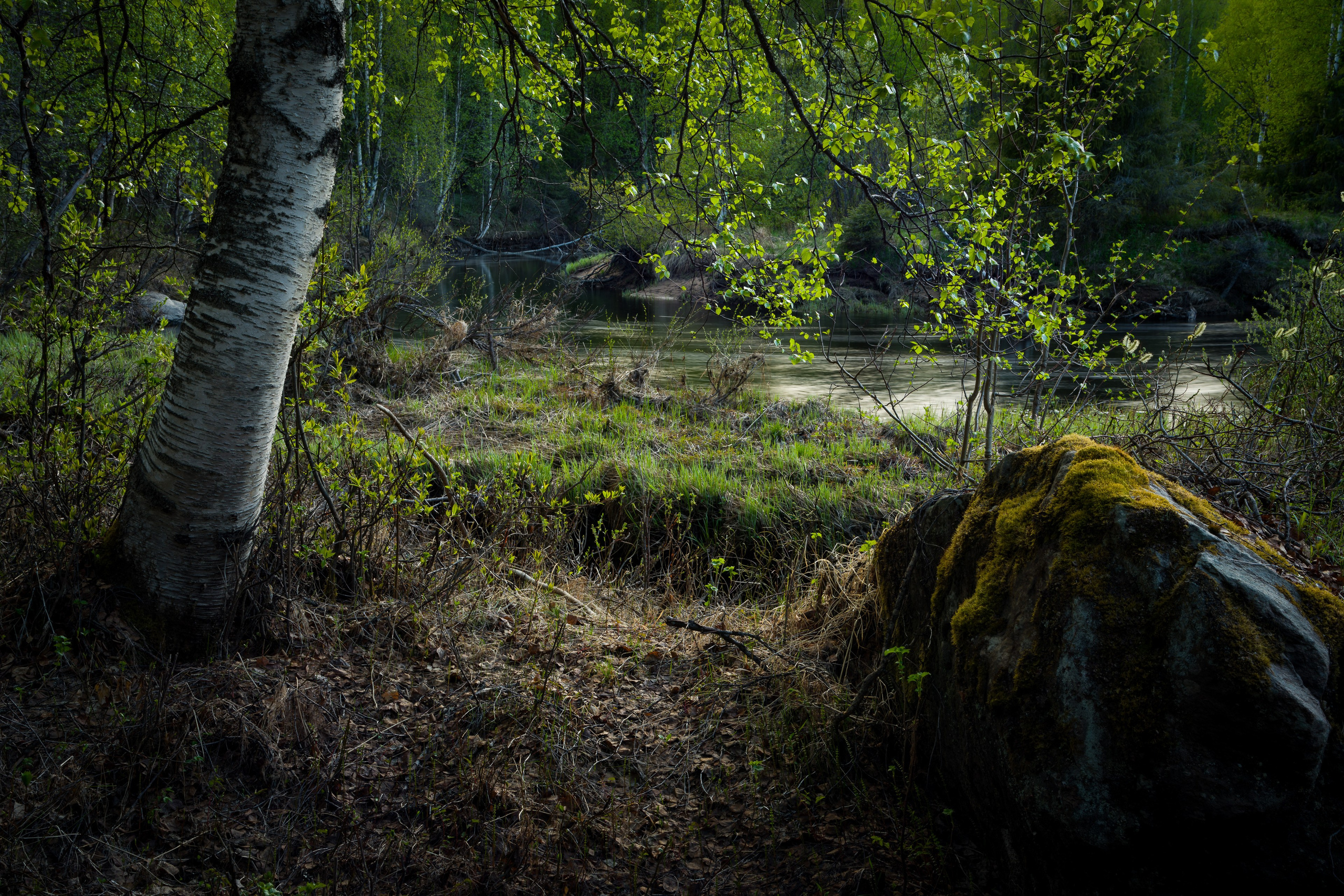 Весна. Северные Ночи