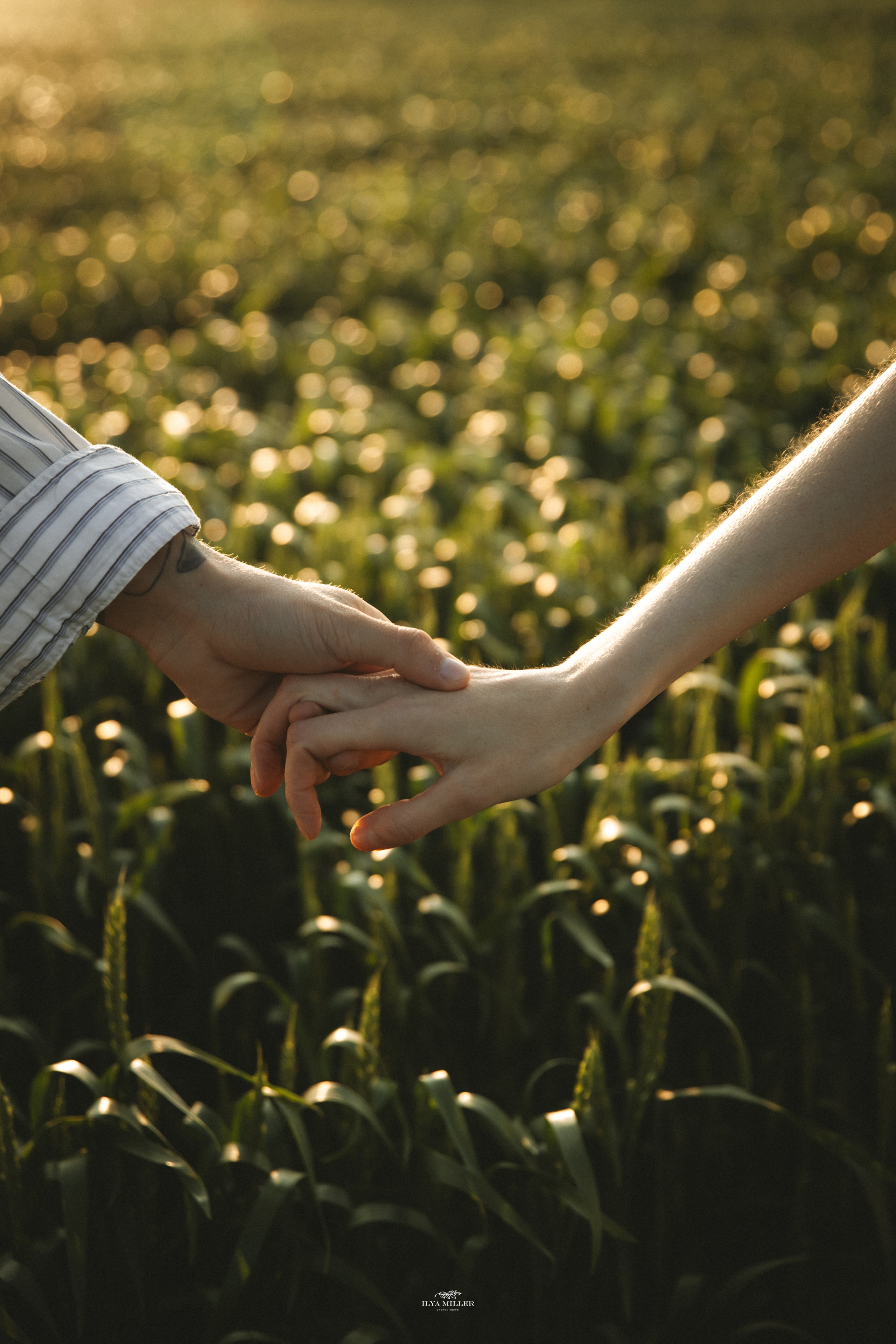 Дина и Влад / Маковые поля. Фотограф Калининград Илья Миллер