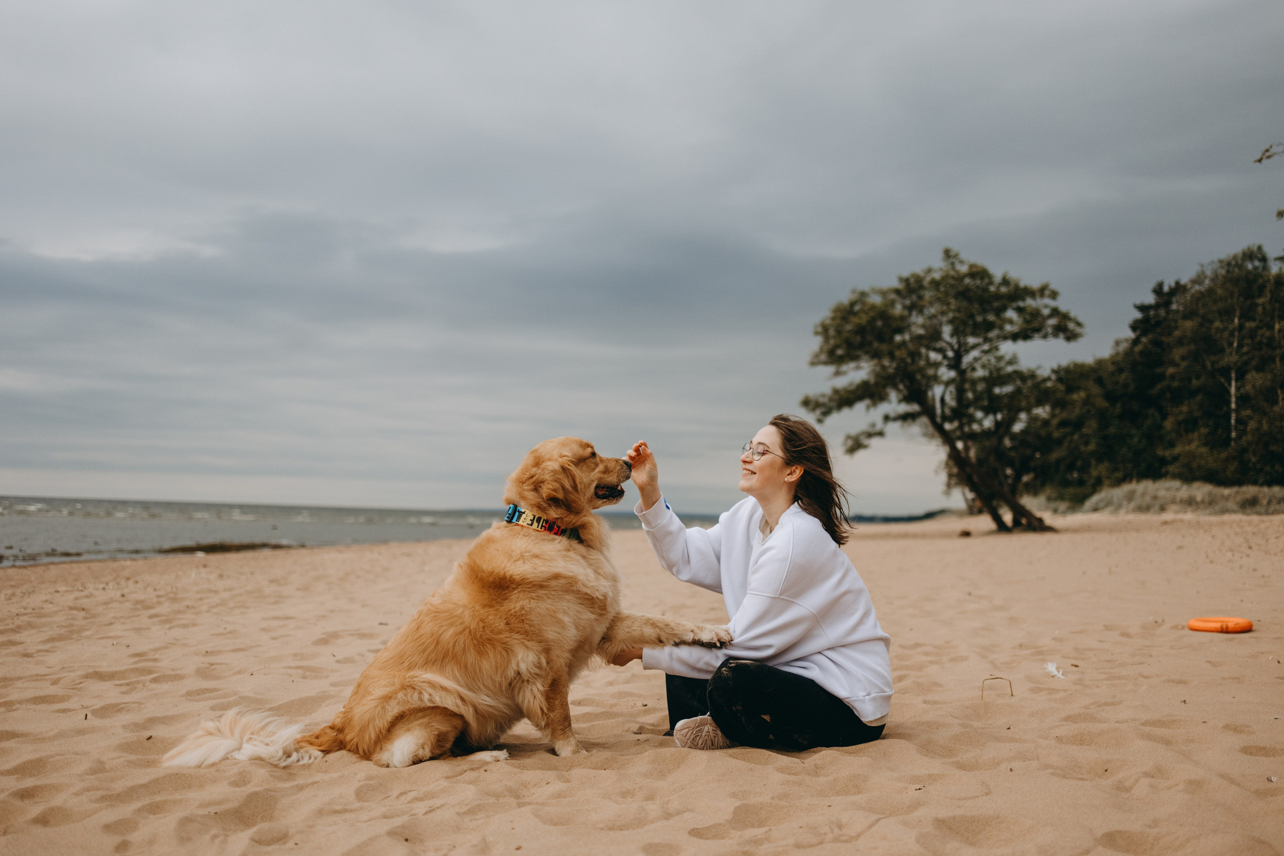 Фоси и его семьи. Фотограф — Анималист | Санкт-Петербург
