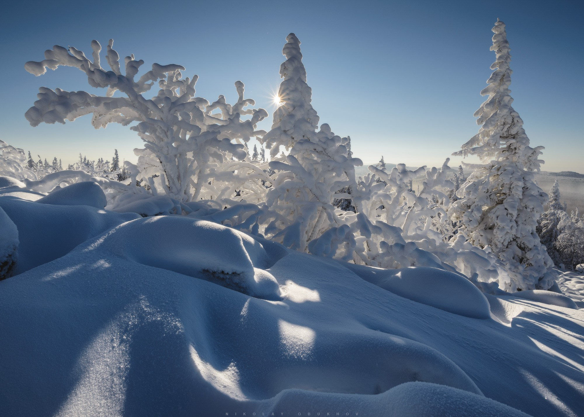 Зимний лес солнце пробивается сквозь ветви, освещая заснеженные деревья на горе Белая.  