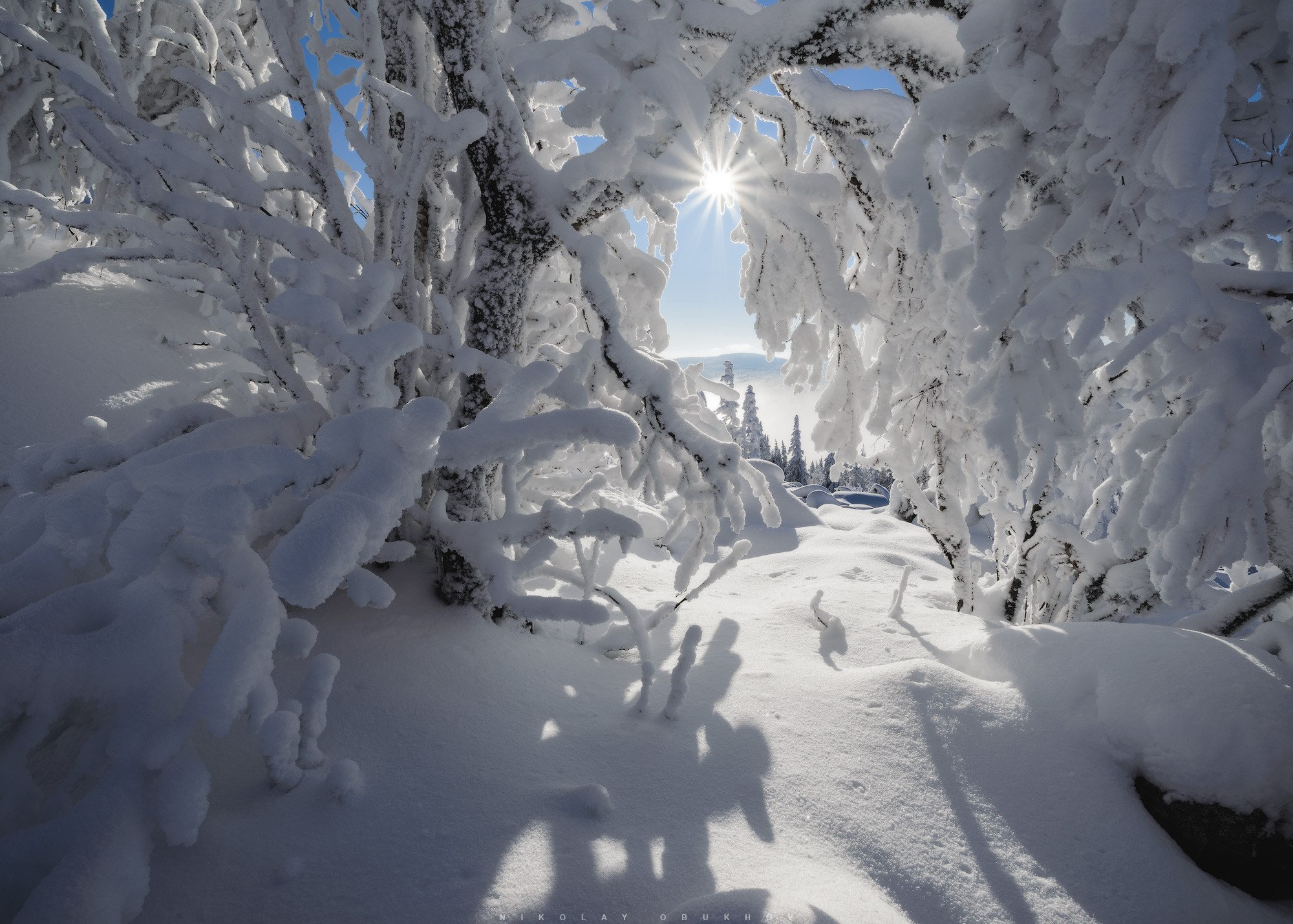 Зимний лес ели стоят в снежных шапках на фоне горы Белая в Свердловской области.  