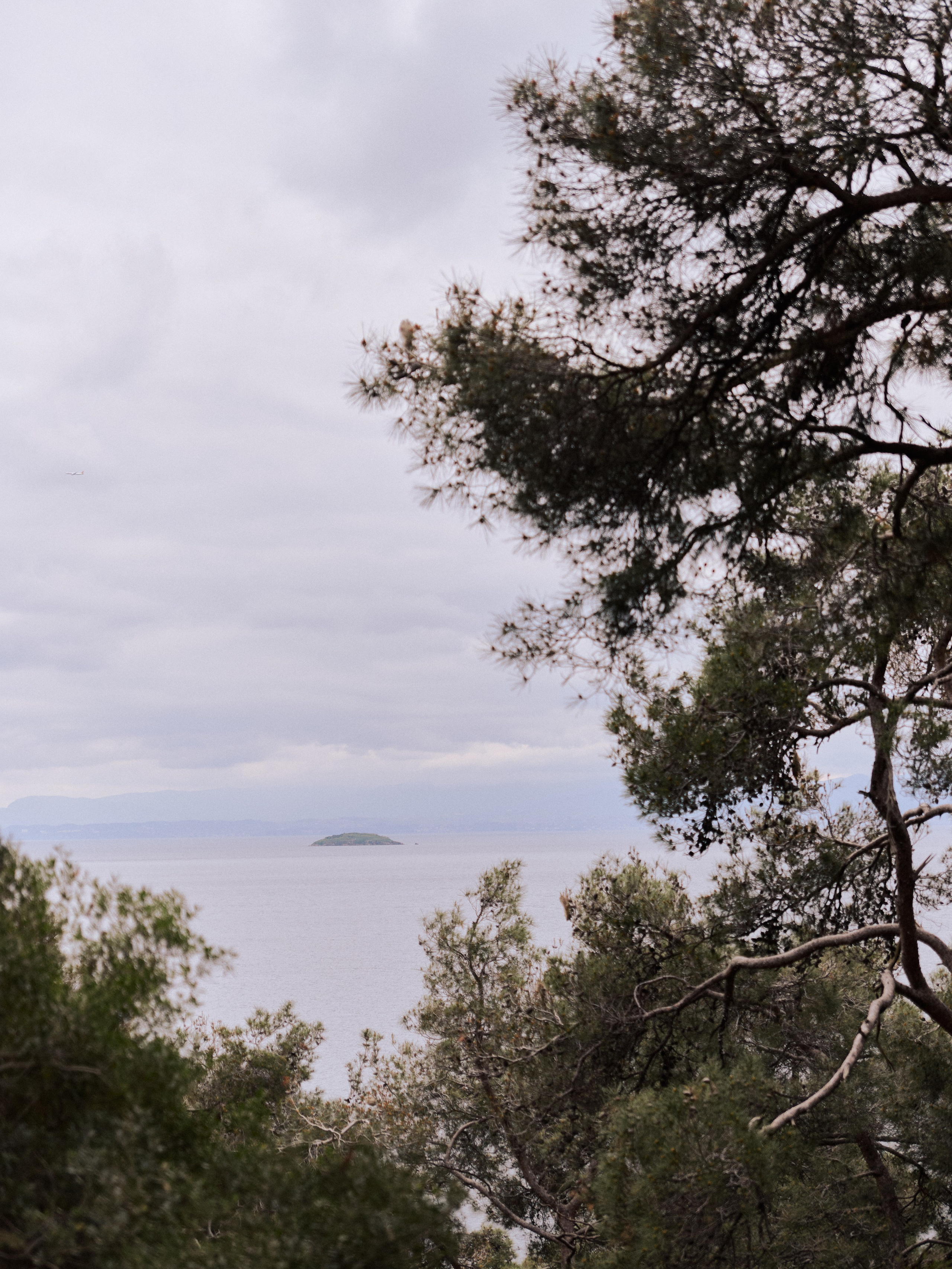 Природа. Jorgis Talè — photographer, kind person, teacher of arts and other mag