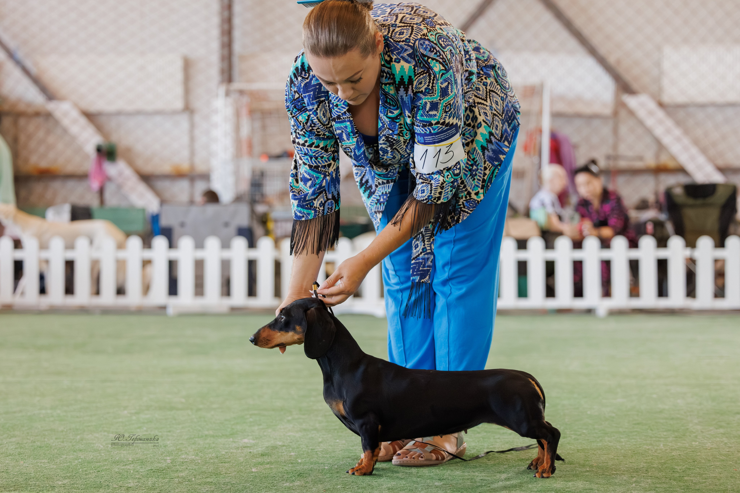 Батуми 3хCACIB 27-29.06.2025. Фотограф-анималист Юлия Германика