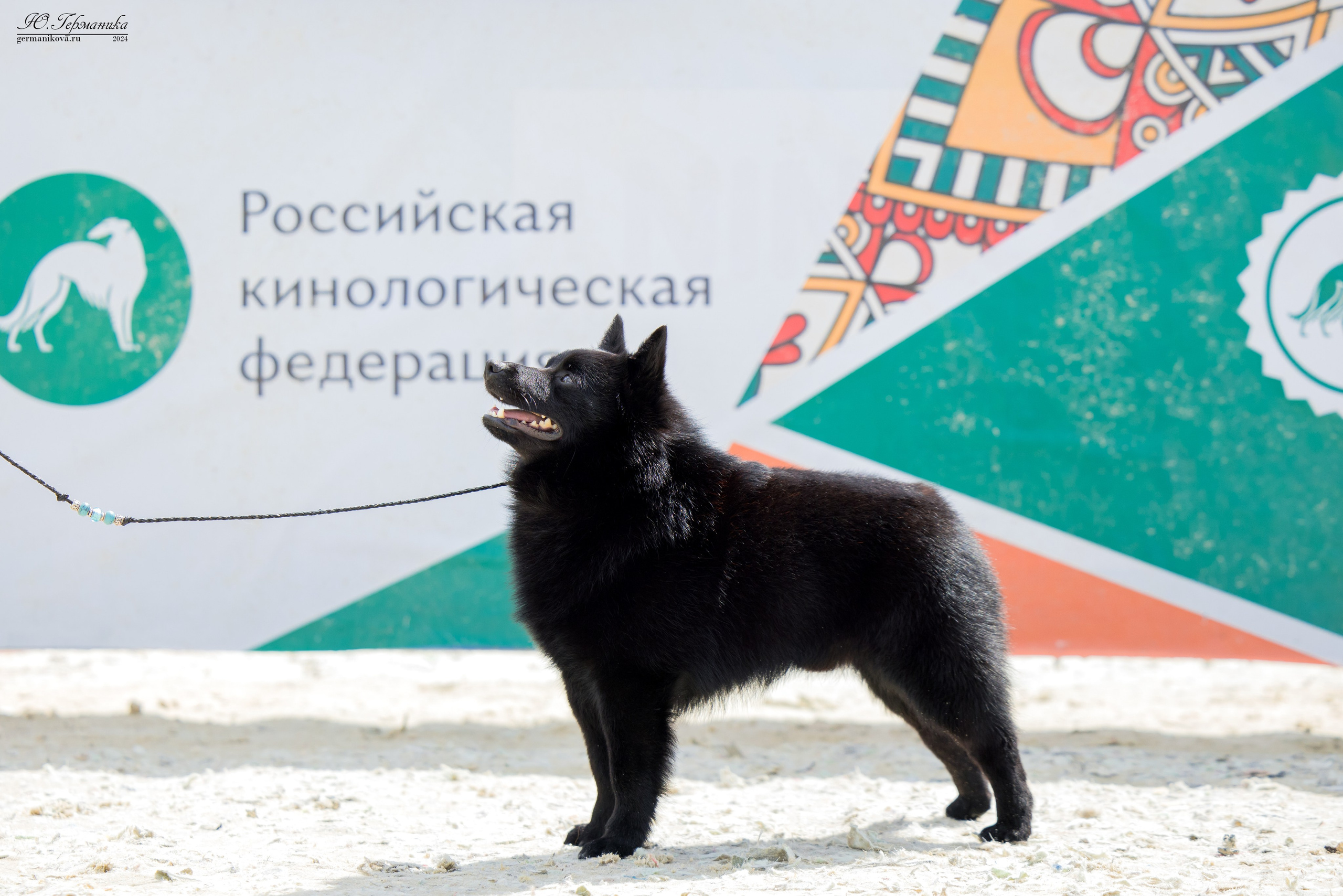 РОССИЯ 8-9.06.2024. Фотограф-анималист Юлия Германика