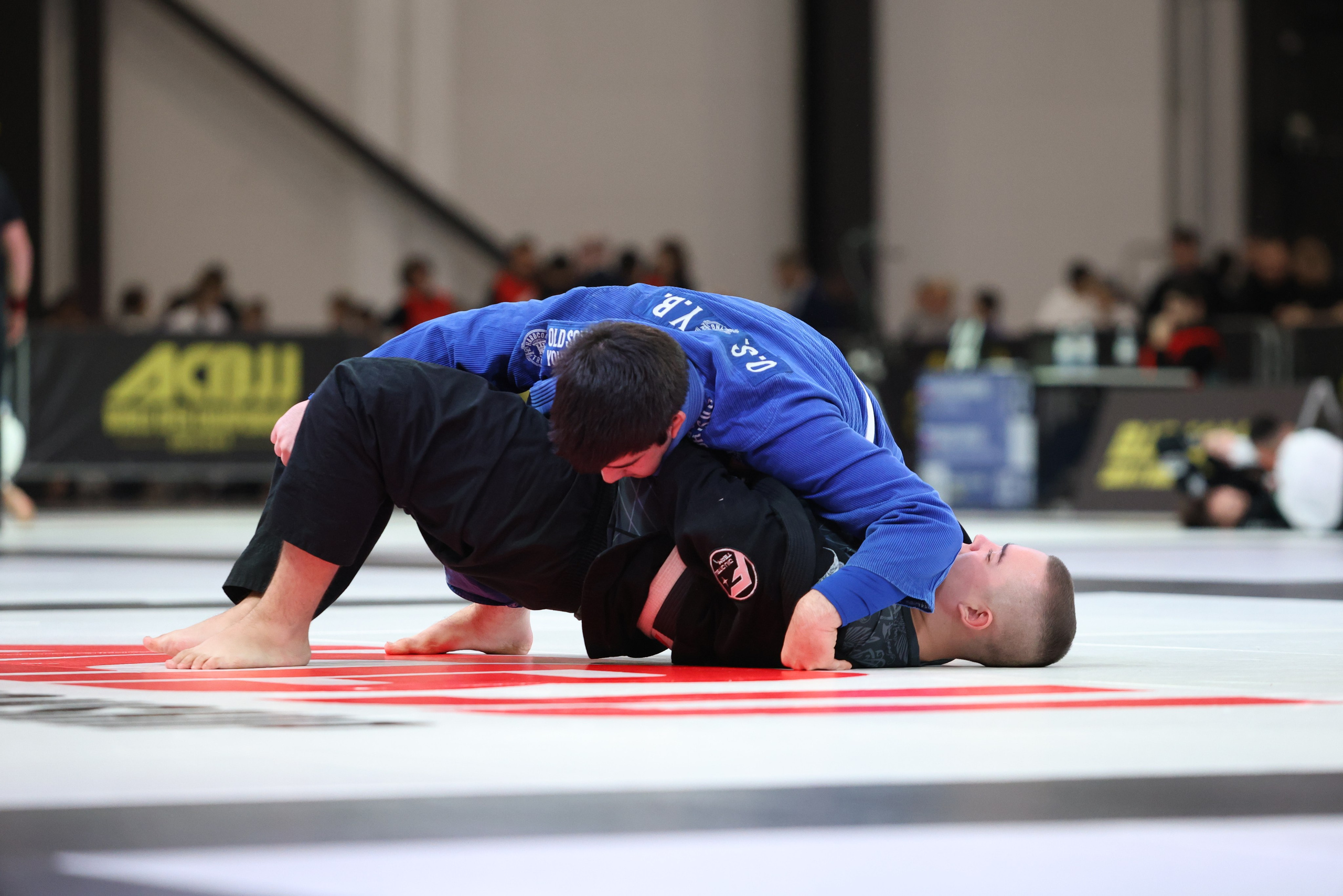 ACBJJ WORLD CHAMPIONSHIP 2023. Репортажный, Event фотограф в Санкт-Петербурге и ЛО Морозов Дмитрий