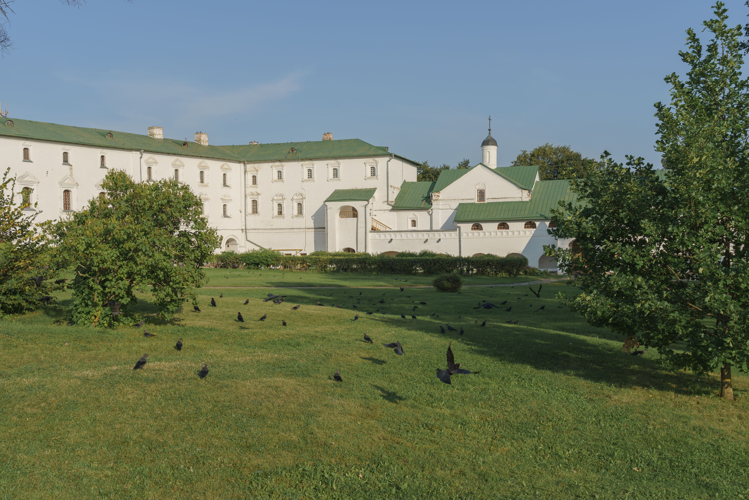 Жизнь внутри Золотого кольца. Pavel Basin