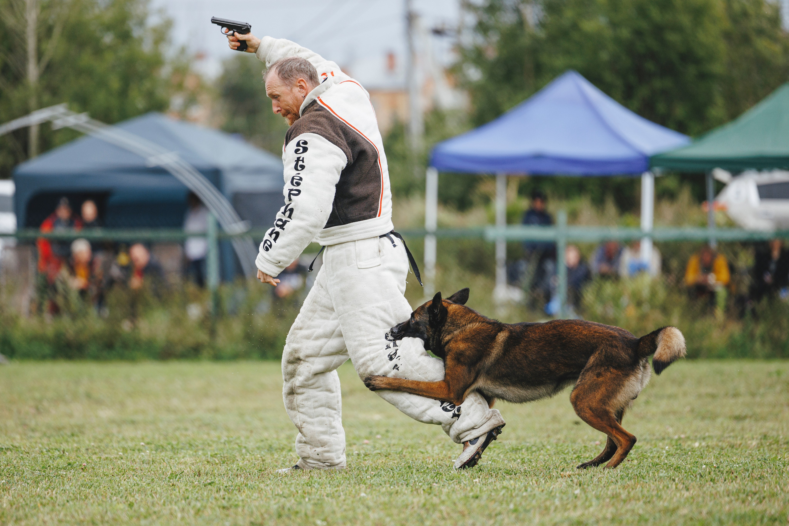 08.08.25-10.08.25 ЧР по мондьорингу г. Вологда. Фотограф-анималист Анна Маринич