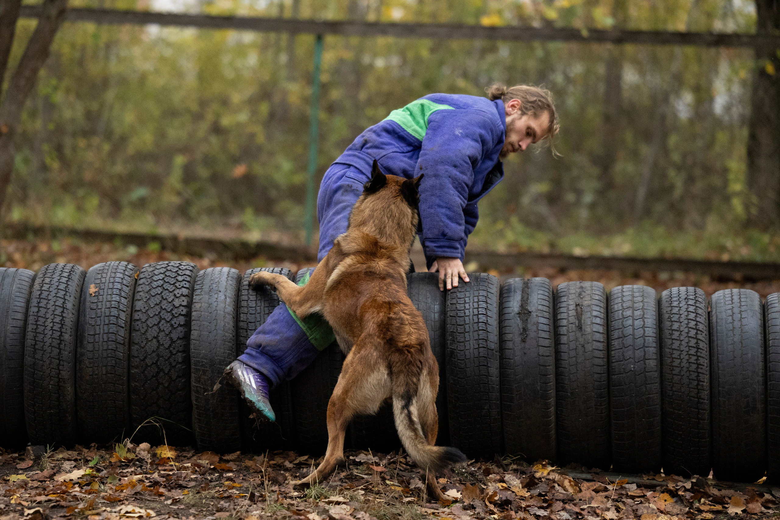 Соревнования по Мондьорингу г. Вологда. Фотограф-анималист Анна Маринич