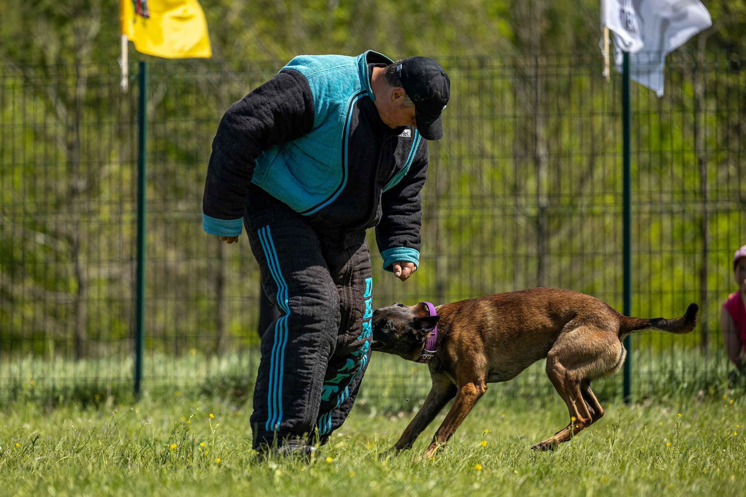 Испытания по мондьорингу в Нижнем Новгороде. Фотограф-анималист Анна Маринич