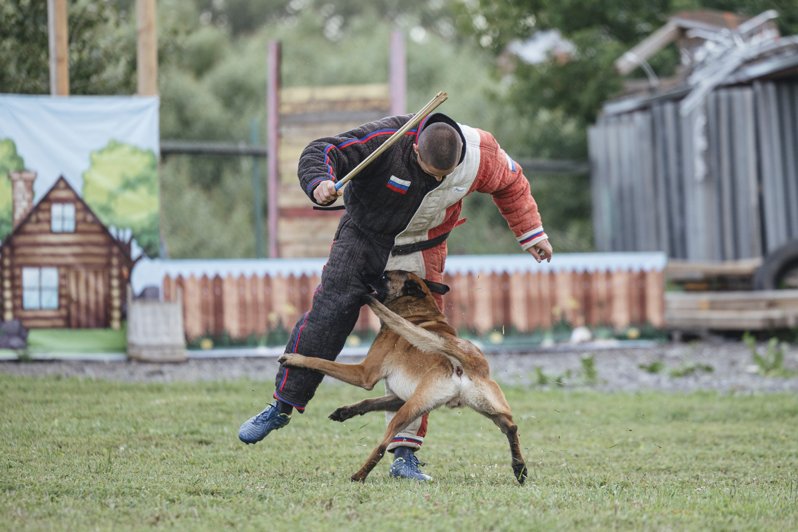 08.08.25-10.08.25 ЧР по мондьорингу г. Вологда. Фотограф-анималист Анна Маринич