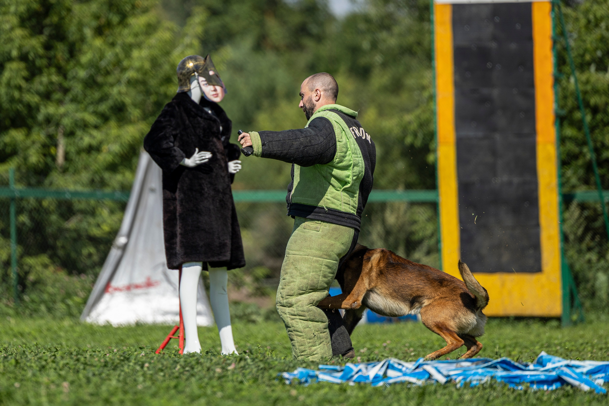 Соревнования по Мондьорингу г. Вологда 10-11.08.2024. Фотограф-анималист Анна Маринич